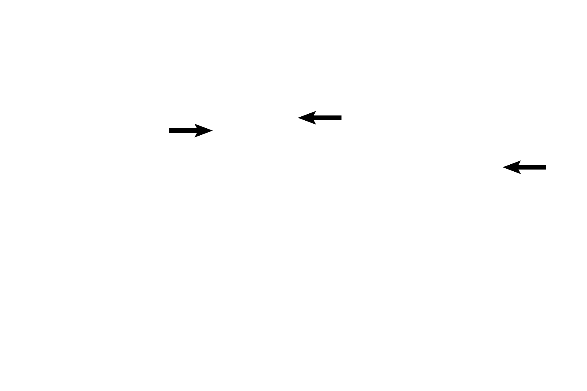  - Glycogen <p>The vaginal epithelium is a stratified squamous moist epithelium that increases in thickness and in the production of glycogen as estrogen rises preceding ovulation. The clear areas within the epithelium indicate the location of the glycogen. 400x</p>
