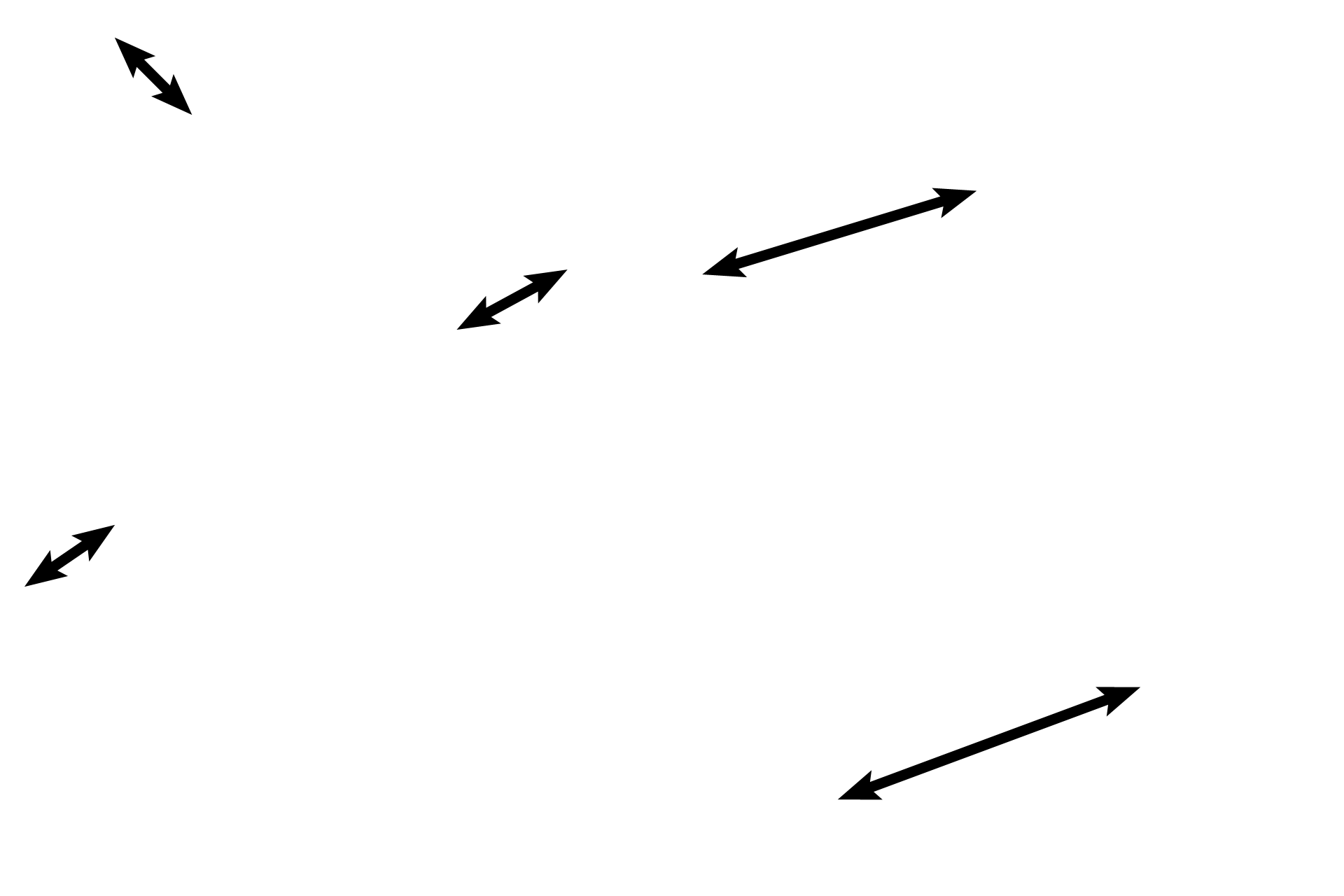 Lamina propria <p>The smallest bronchiole (terminal) resembles a larger bronchiole except that it is narrower in diameter and its layers are thinner. The epithelium is simple columnar with cilia; club cells appear for the first time here. Elastic fibers continue in the lamina propria. A smooth muscle layer is still present. 200x, 1000x</p>
