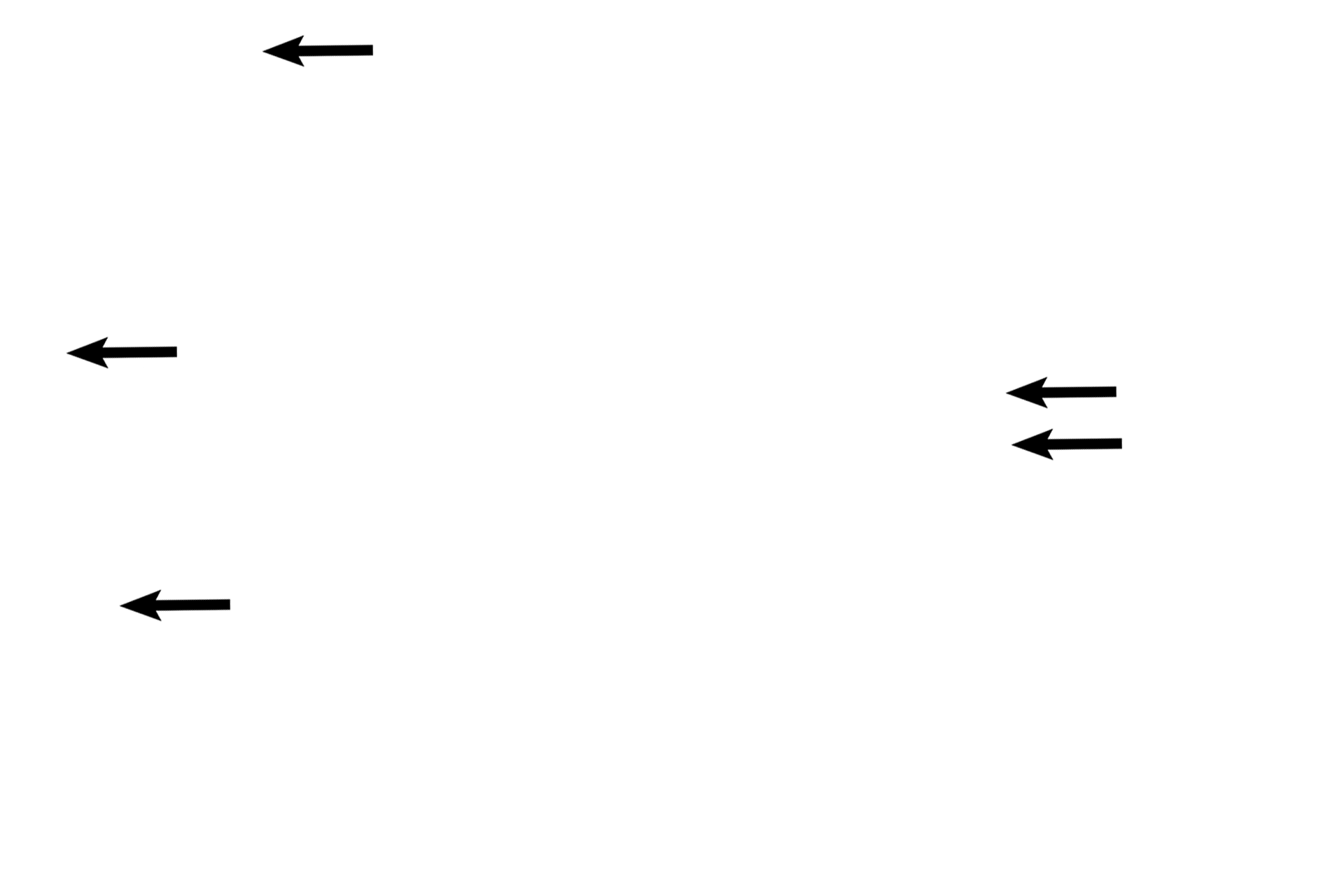  - Elastic fibers <p>The smallest bronchiole (terminal) resembles a larger bronchiole except that it is narrower in diameter and its layers are thinner. The epithelium is simple columnar with cilia; club cells appear for the first time here. Elastic fibers continue in the lamina propria. A smooth muscle layer is still present. 200x, 1000x</p>
