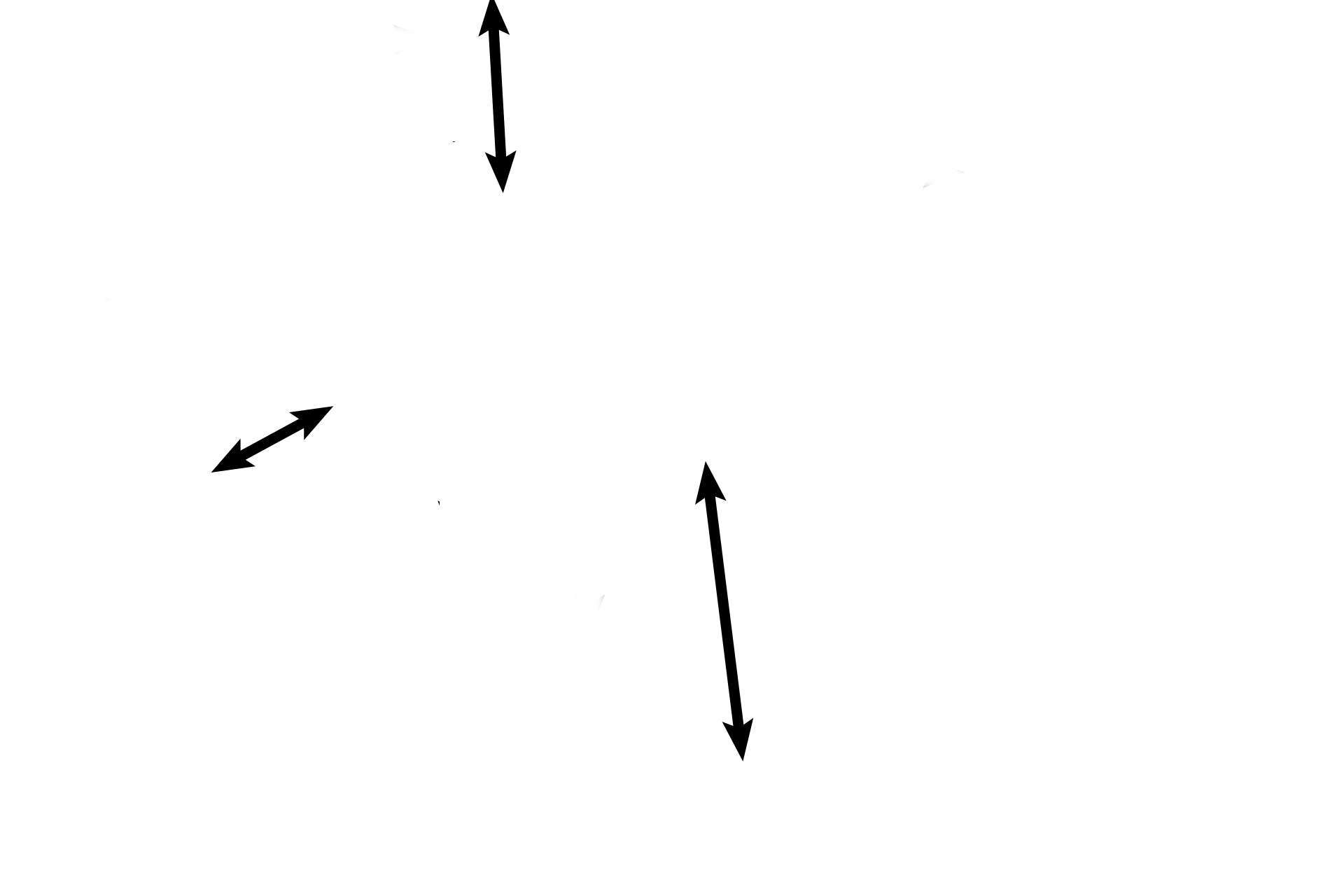 Lamina propria <p>The epithelium of a secondary bronchus is pseudostratified columnar with cilia and goblet cells. The lamina propria is rich in elastic fibers, and smooth muscle bands spiral around the bronchus.</p>
