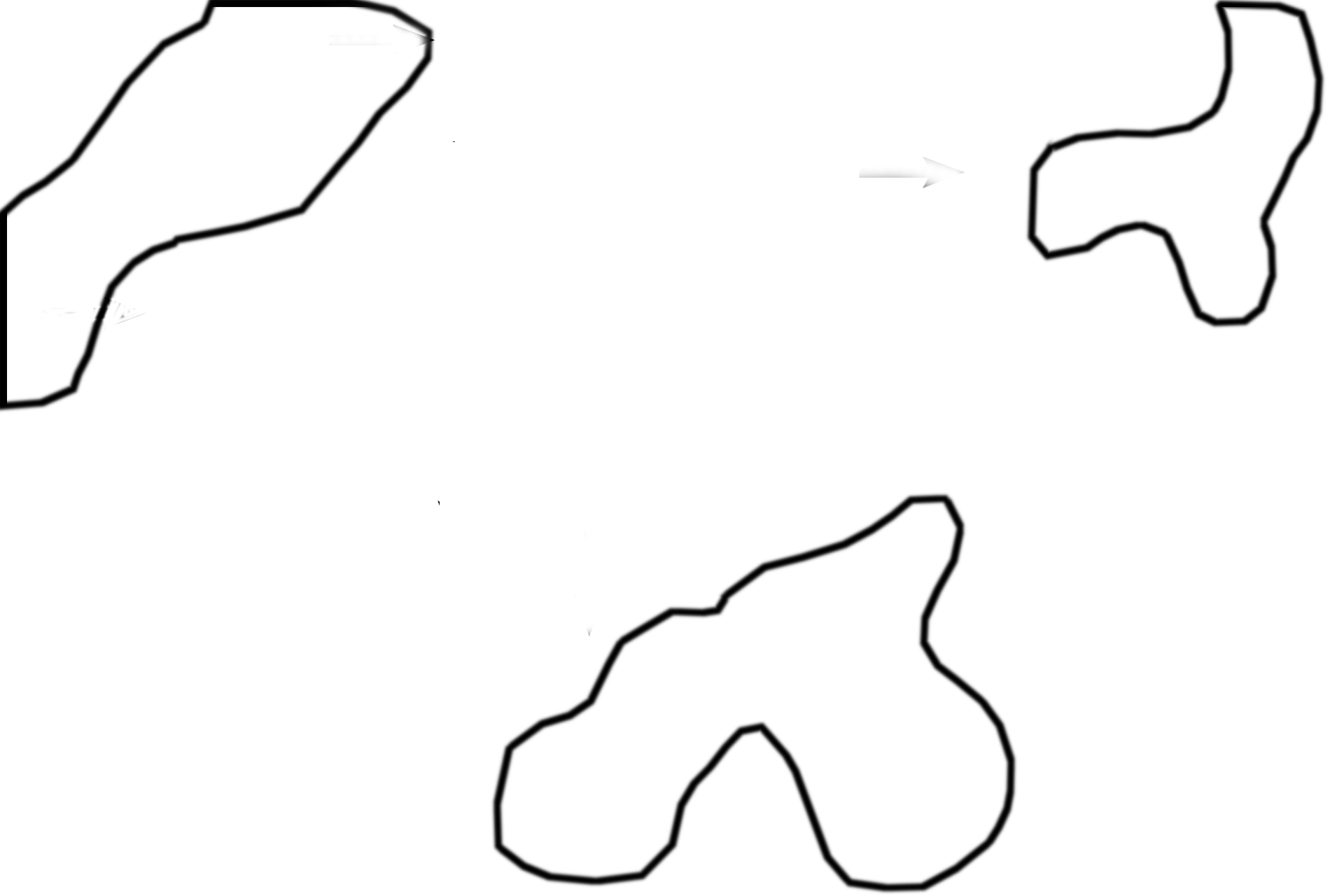  - Mixed glands > <p>Mixed glands are visible in the lamina propria of the secondary bronchus as well as spilling around the cartilage plates.</p>
