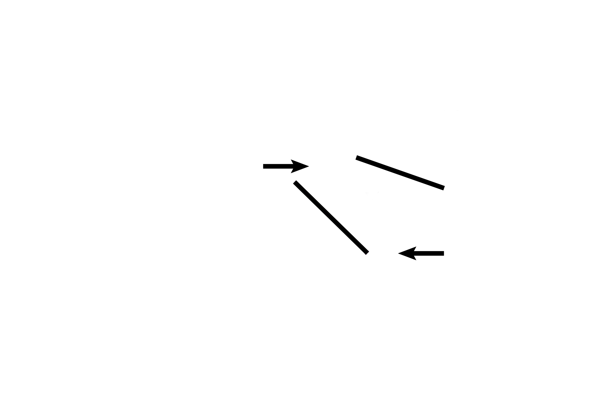 Associated alveoli <p>A respiratory bronchiole is formed from a terminal bronchiole by the addition of alveoli and by a decrease in its diameter and in the thickness of its wall. The accumulation of additional alveoli to a respiratory bronchiole reduces the wall area of this bronchiole and forms an alveolar duct. 100x</p>
