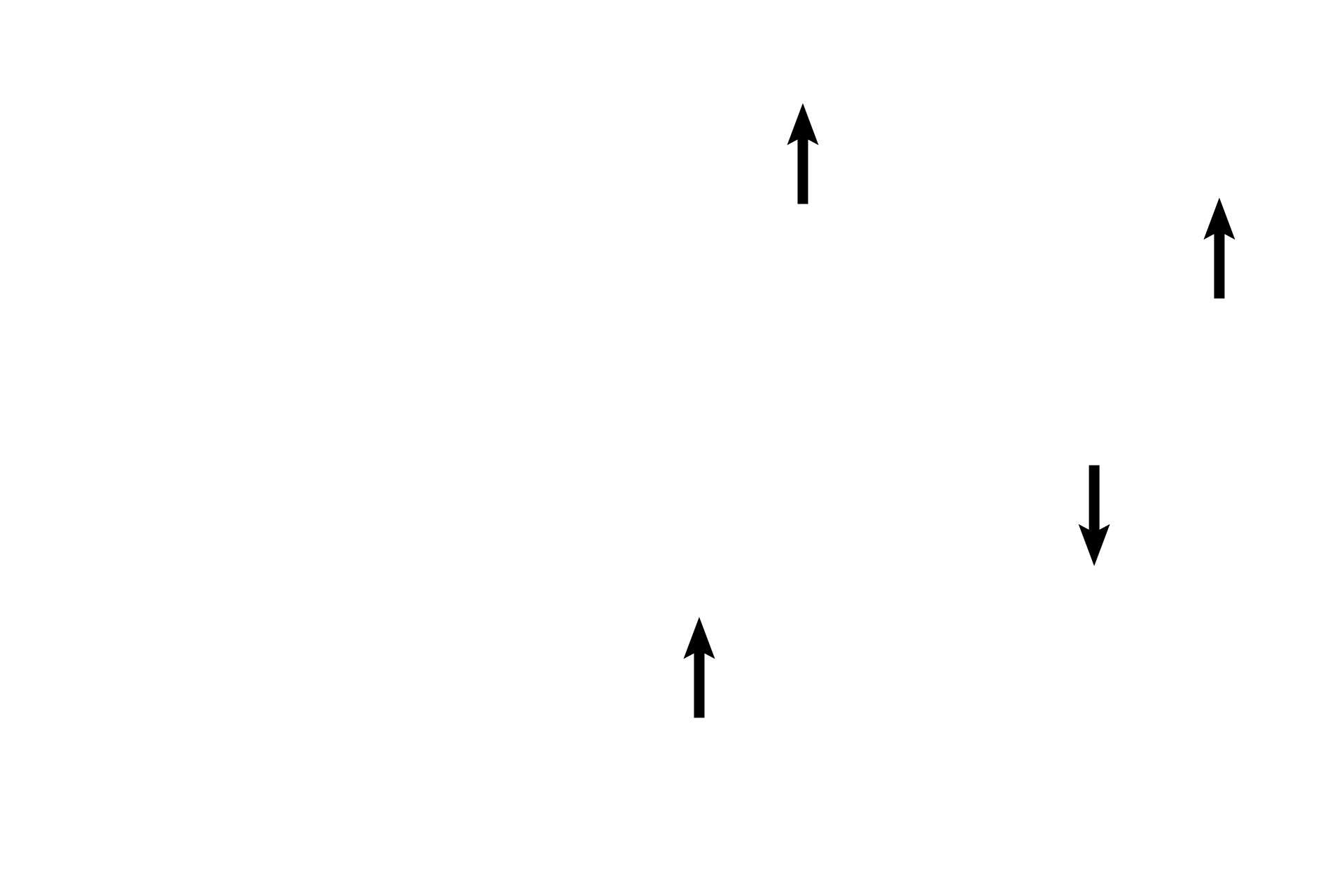  - Luminal subdivisions <p>The epithelium and underlying lamina propria of the seminal vesicle are thrown into numerous, intersecting arches. The presence of a central lumen and the numerous arcades surrounding it help to distinguish the seminal vesicle from the ampulla of the oviduct. At the periphery of the gland is a layer of smooth muscle. 100x</p>
