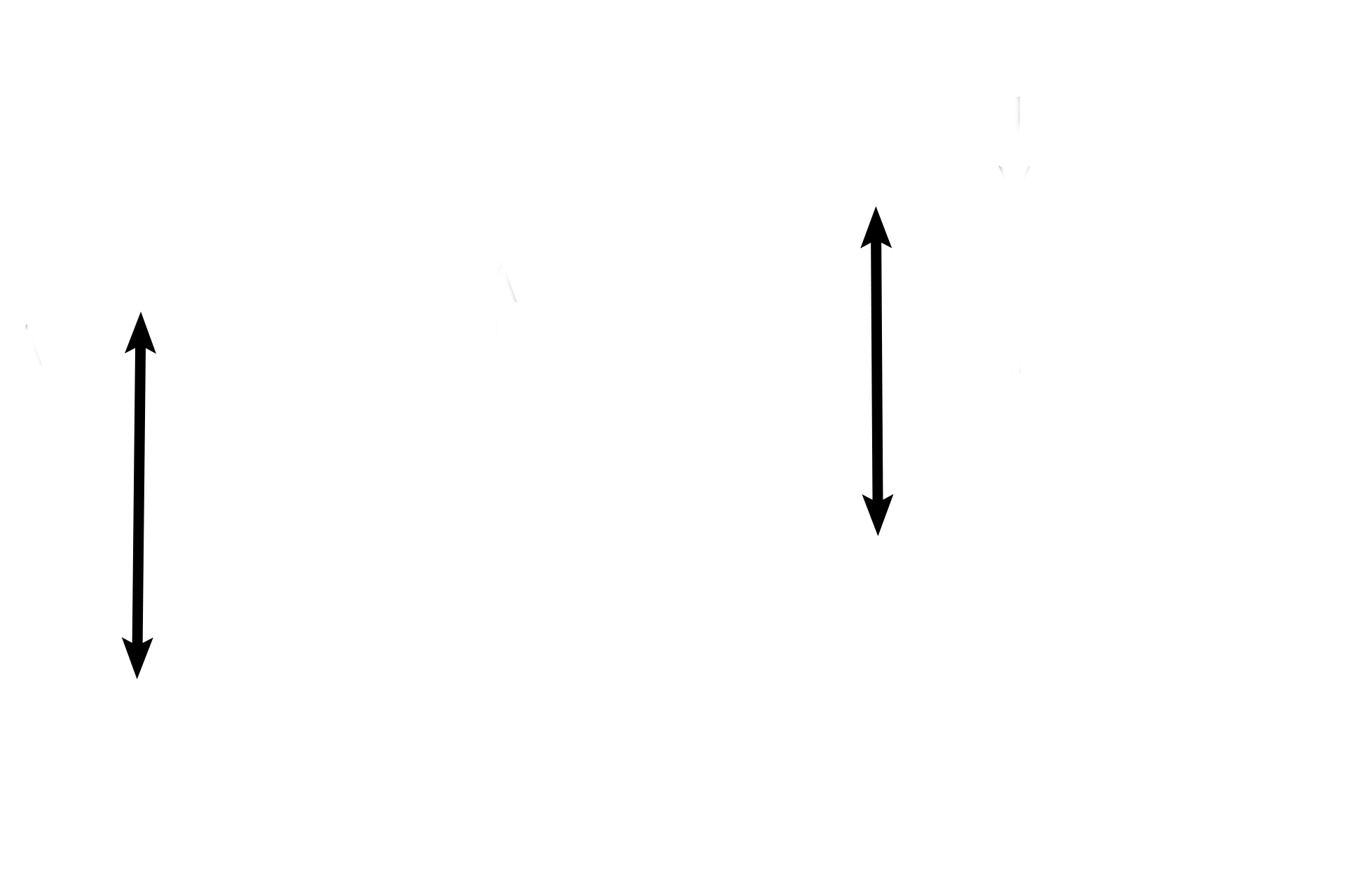 Lamina propria > <p>A lamina propria of loose connective tissue is located between the epithelium and the supportive layer.  Many blood vessels are located in this layer to aid in temperature regulation of the air.  </p>
