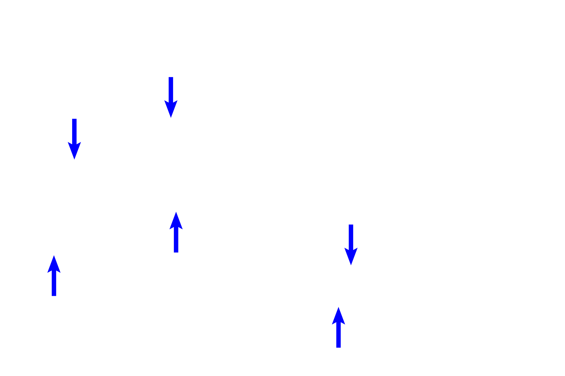 Osseous spiral lamina <p>Vibrations of the eardrum continue through the incus and malleus to the stapes and oval window, creating waves in the perilymph of the vestibule and into scala vestibuli. Resulting depression of the vestibular and basilar membranes causes movement of hair cell receptors embedded in the tectorial membrane. Subsequent nerve impulses travel to the spiral ganglia and to the cochlear division of CN VIII.</p>
