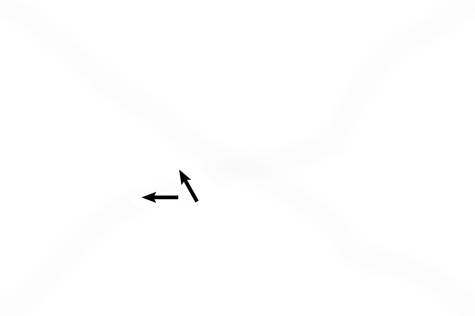 Tympanic membrane <p>The cochlea, part of the osseous labyrinth, consists of a long, hollow tube that is coiled into a spiral, resembling a snail shell. The cochlear duct, the membranous labyrinth in the cochlea, lies in the middle of the cochlea, dividing it into thirds. The cochlear duct houses the organ of Corti, the receptor for audition or hearing.</p>
