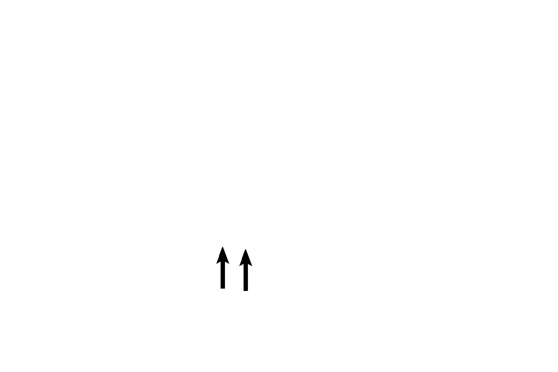 - Oval window <p>The middle ear houses the ear ossicles. The stapes is the ossicle that fits into the oval window in the wall separating the middle ear from the vestibule of the inner ear. Movement of the stapes results in change of pressure in the perilymph of the inner ear, thus triggering a response in the inner ear receptors.</p>
