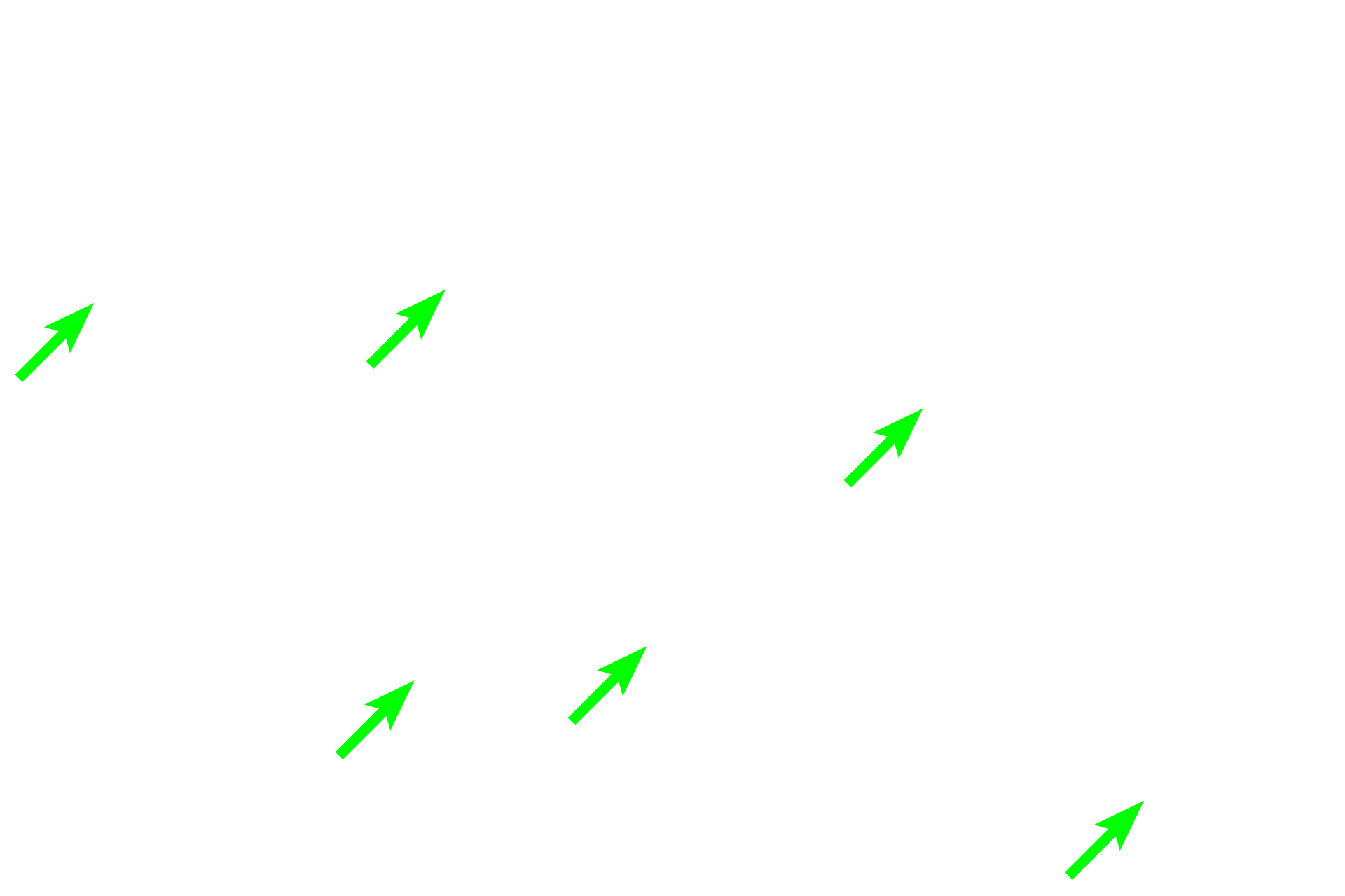 Developing and mature erythrocytes <p>Identifying specific stages of erythrocyte and granulocyte development is very difficult in tissue sections of bone marrow. That task is much easier using bone marrow smears. Several stages of erythrocyte and granulocyte development are visible in this image, each process will be described in greater detail in the following images. 400x</p>
