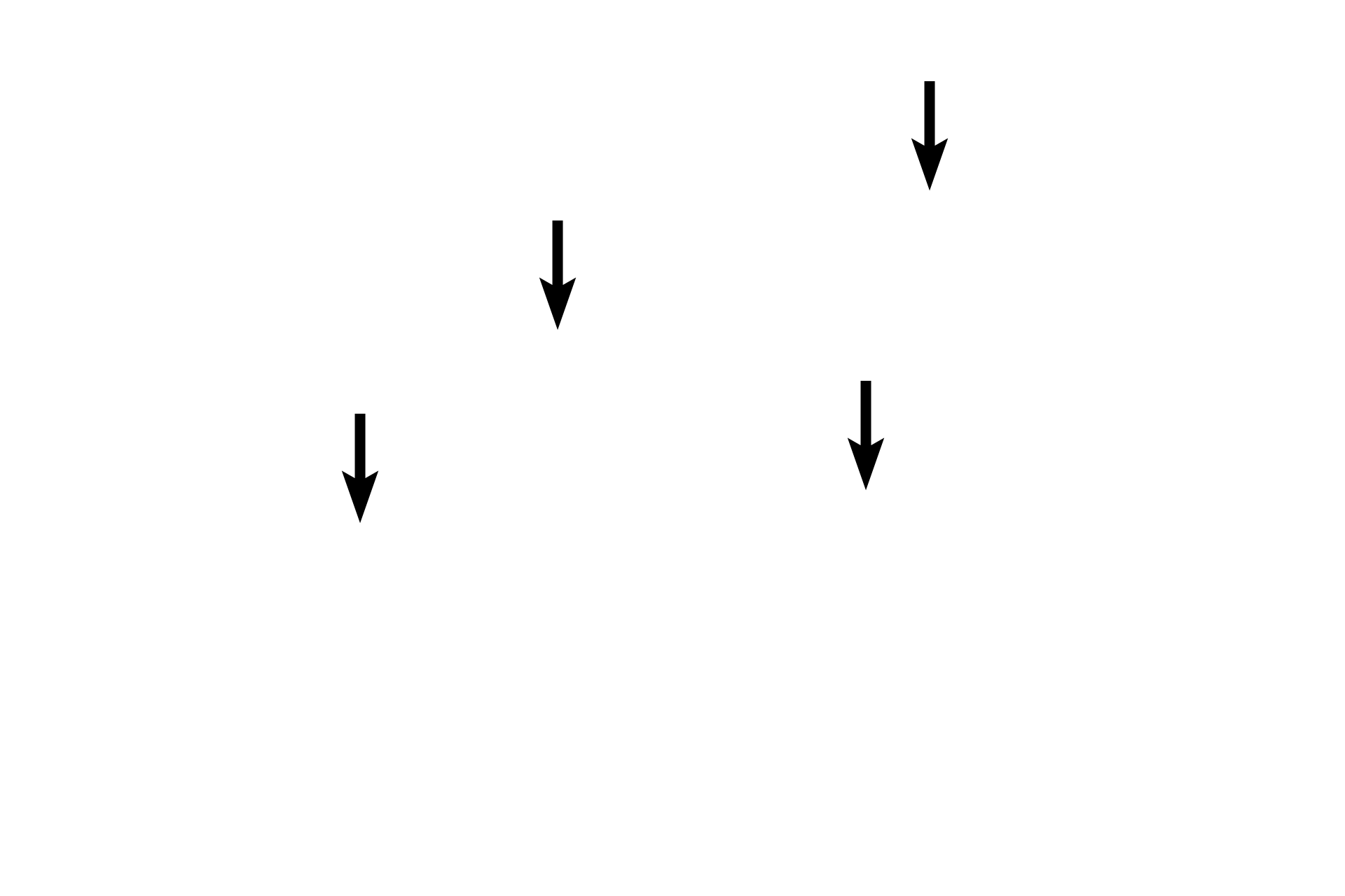 Myelin sheaths > <p>The myelin sheath surrounds individual axons and consists of the spiral wrappings of Schwann cell plasma membranes. The uniquely high lipid content of myelin provides insulation of the axon and increases conduction velocity. The radial lines in the sheath are proteinaceous remnants of the plasma membrane. Axons and their sheaths are surrounded by the endoneurium.</p>
