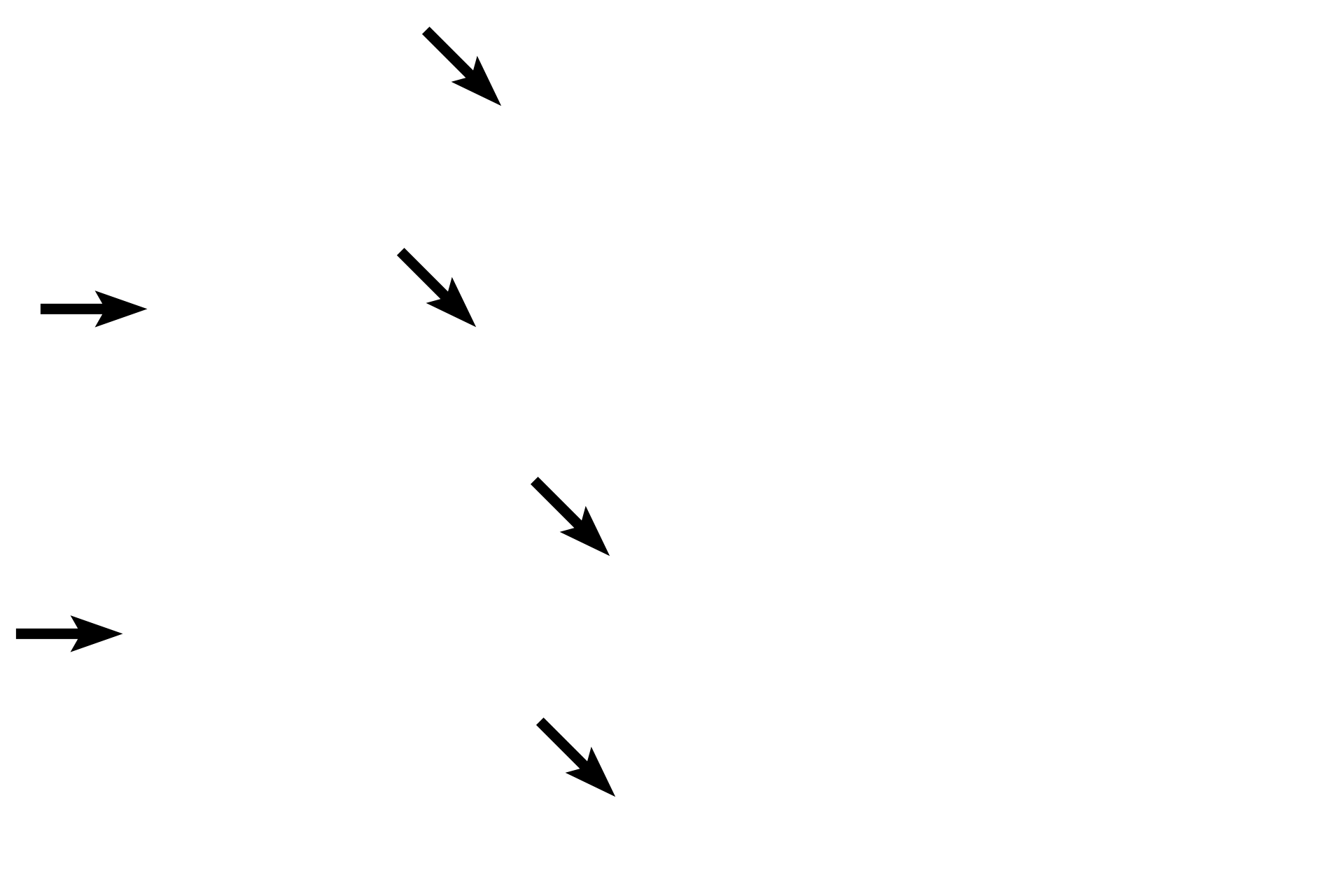 Inner tunic > <p>The innermost tunic of either subdivision faces the blood and is called the endocardium in the heart and the tunica intima in blood vessels.  In both subdivisions the innermost tunic is composed of a specialized simple squamous epithelium, called endothelium, and its underlying connective tissue.</p>
