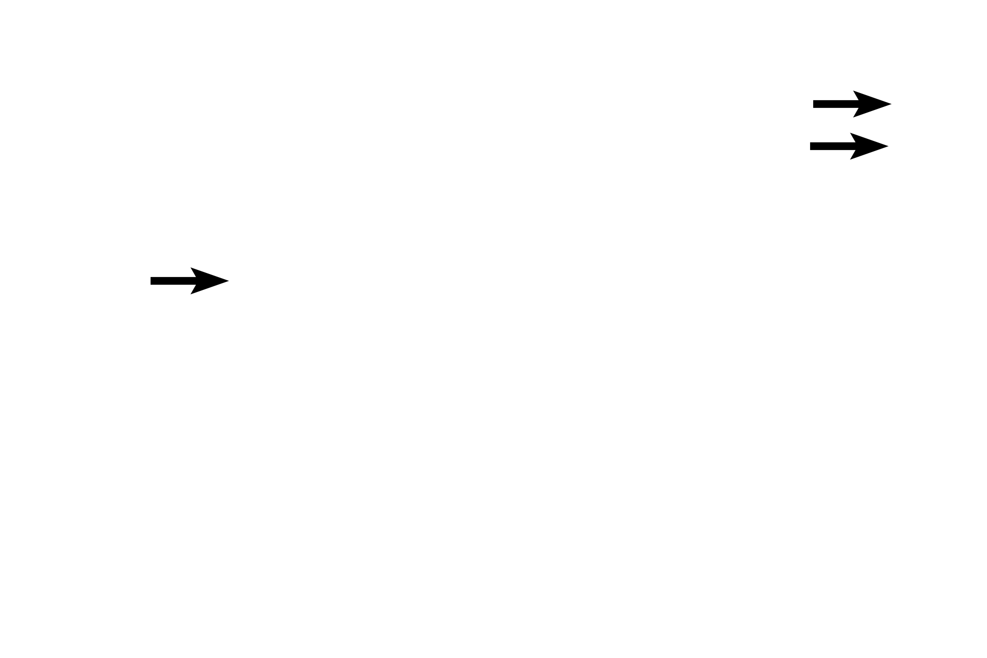 Blood supply > <p>The heart and larger blood vessels are so large that they require their own blood supply, which is located in the outermost tunic of both subdivisions.  Coronary vessels supply oxygen and nutrients to the heart while vasa vasorum (\”vessels of the vessels\”) are the equivalent blood supply to the larger vessels.</p>

