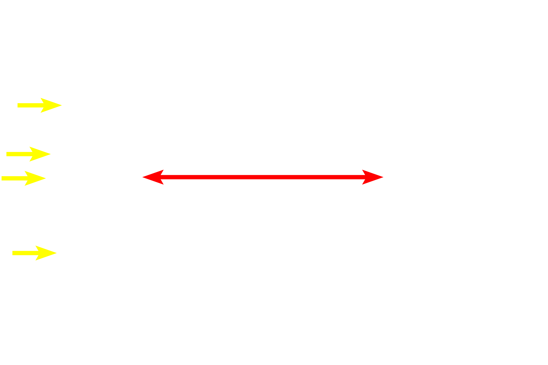 Hepatocytes (liver cells) <p>Sinusoidal capillaries are specialized to permit maximal exchange of macromolecules as well as cells between tissues and the blood. Sinusoids (discontinuous capillaries) have wide lumens, much broader than other capillaries. They also have large gaps or discontinuities between adjacent endothelial cells as well as pores (fenestrations). The basal lamina is interrupted or may be completely absent. Sinusoids are present in the liver (seen here by light and electron microscopy), spleen, some endocrine organs and bone marrow. 1000x, 15,000x</p>
