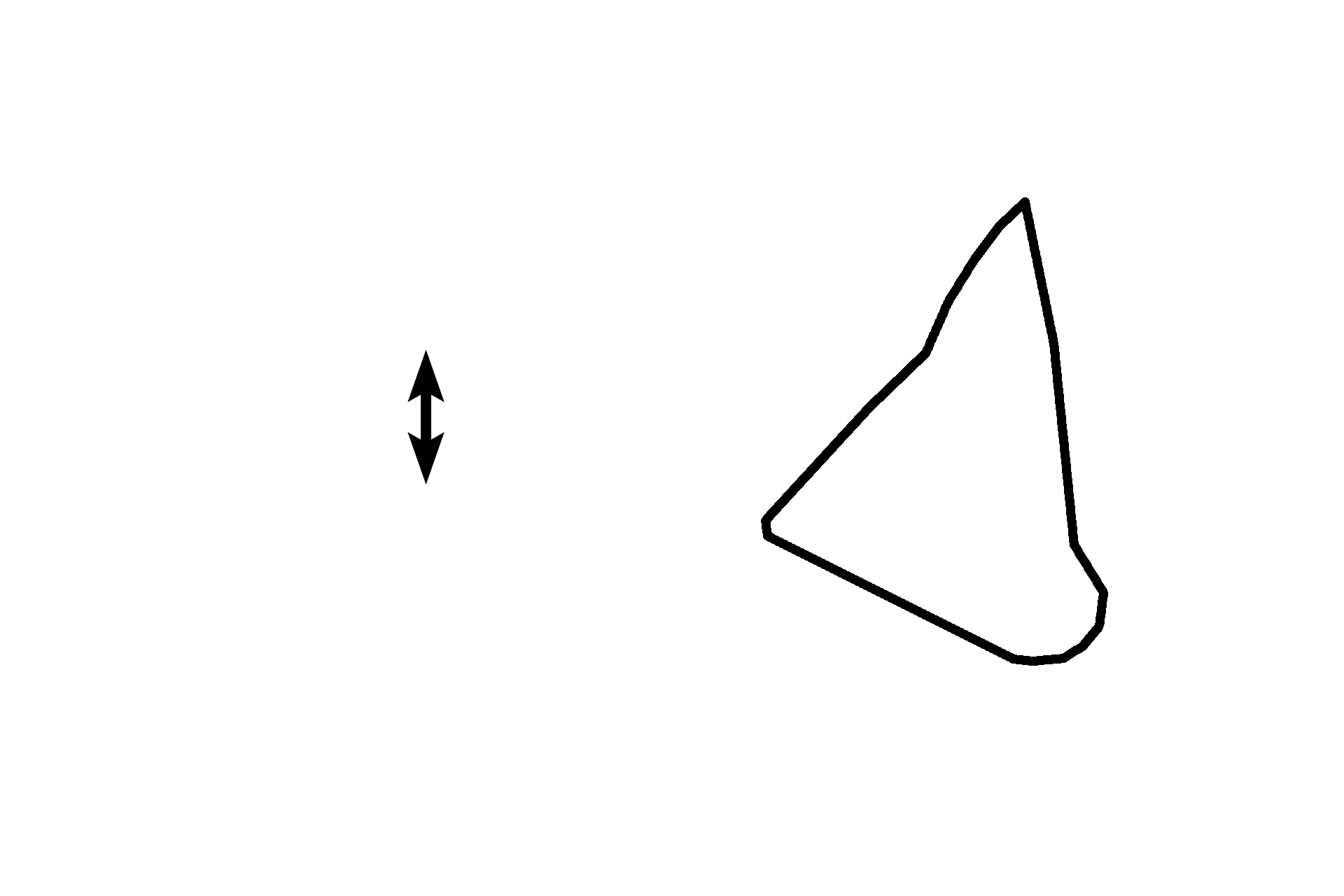 Renal pyramid > <p>Renal pyramids are conical structures composed of the straight, parallel segments of nephrons and collecting ducts.  The base of a pyramid lies adjacent to the cortex, while its apex (papilla) projects into a minor calyx.  Human kidneys have 10-18 pyramids (multi-pyramidal).  </p>
