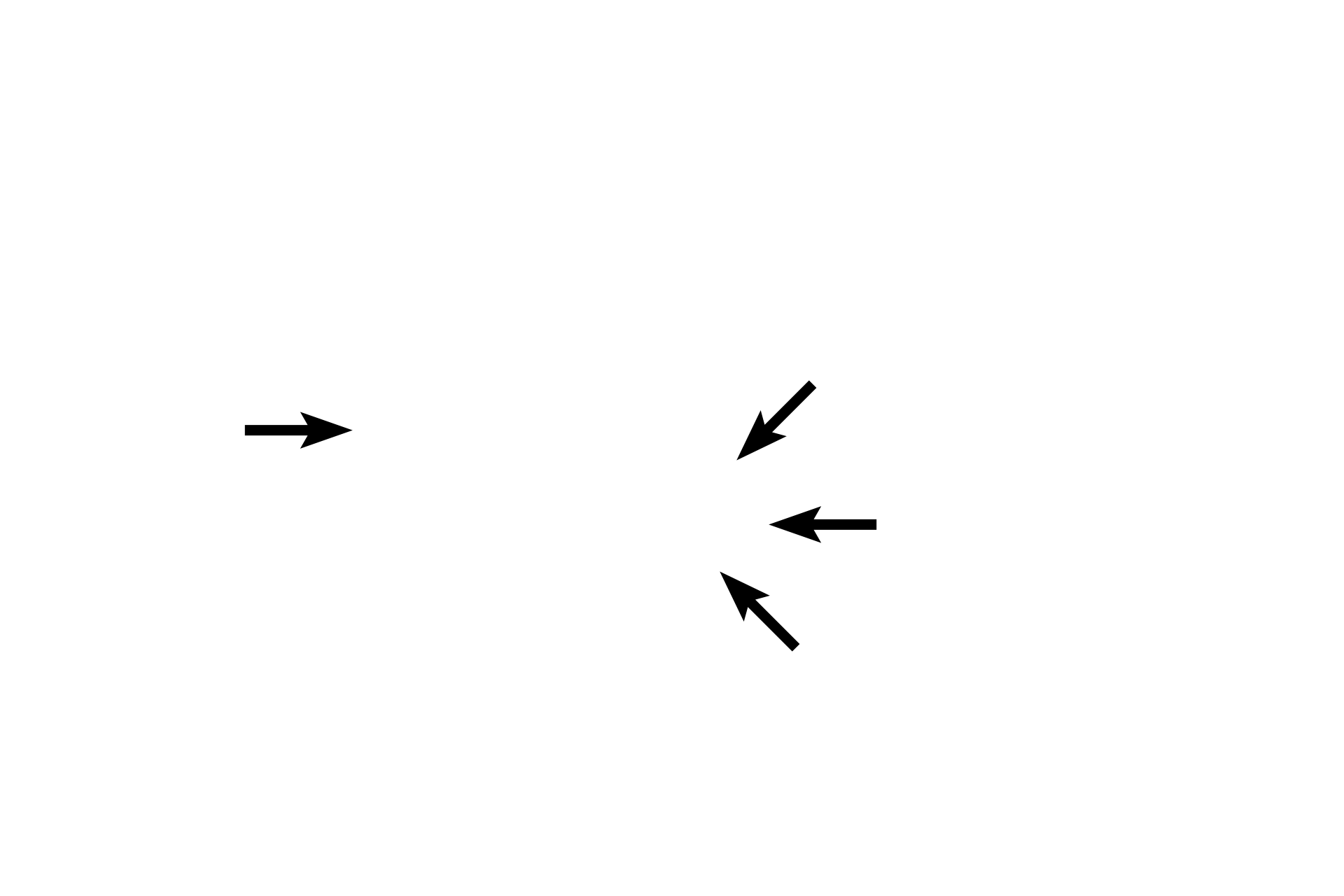  - Renal papillae <p>Renal pyramids are conical structures composed of the straight, parallel segments of nephrons and collecting ducts.  The base of a pyramid lies adjacent to the cortex, while its apex (papilla) projects into a minor calyx.  Human kidneys have 10-18 pyramids (multi-pyramidal).  </p>
