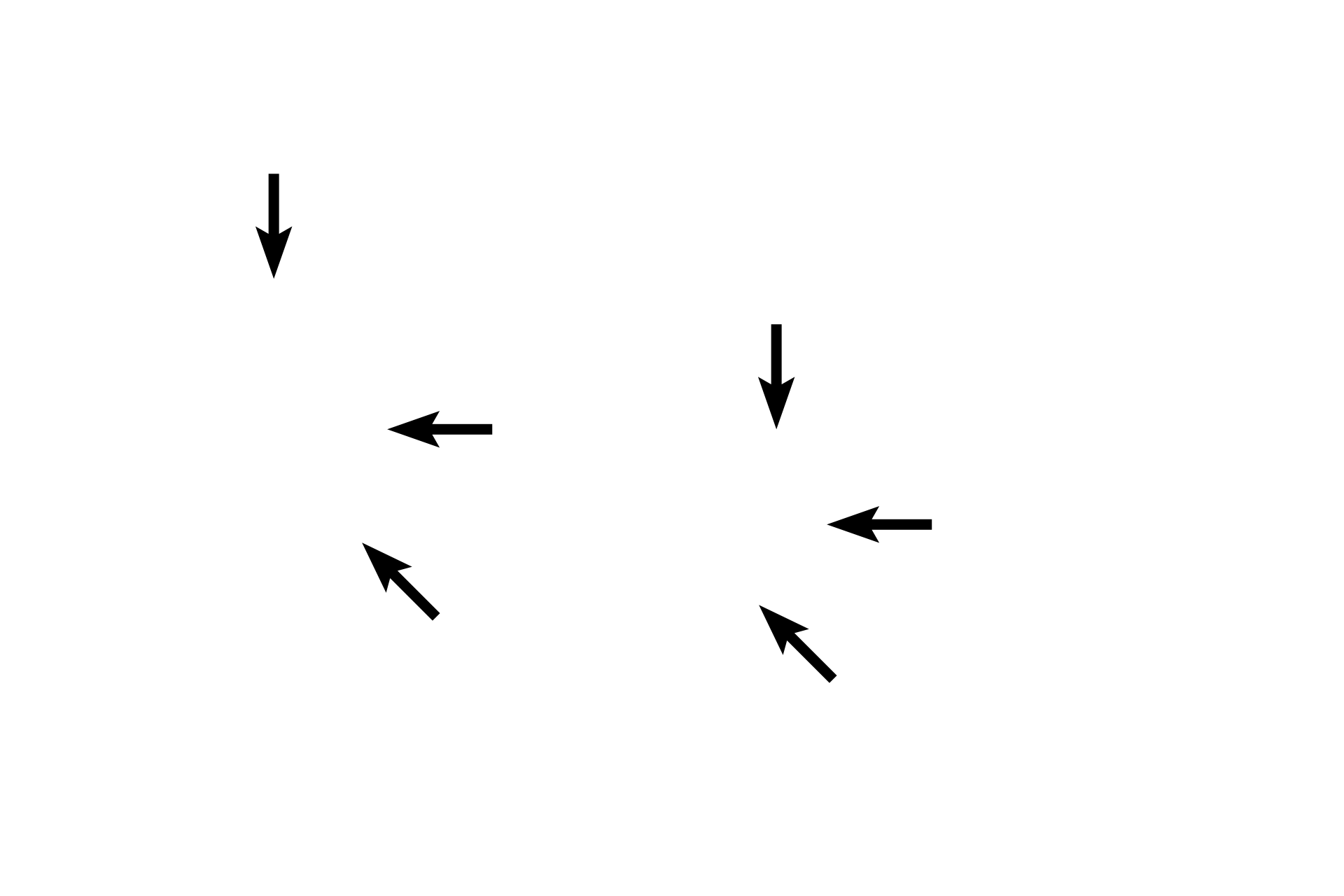 Minor calyces > <p>Several excretory passages are illustrated.  Minor calyces surround the apices (papillae) of renal pyramids.  Major calyces are formed by the union of several minor calyces.  Two to three major calyces unite to form the enlarged renal pelvis, which continues as the ureter.  The bladder and urethra are not depicted in this image.</p>
