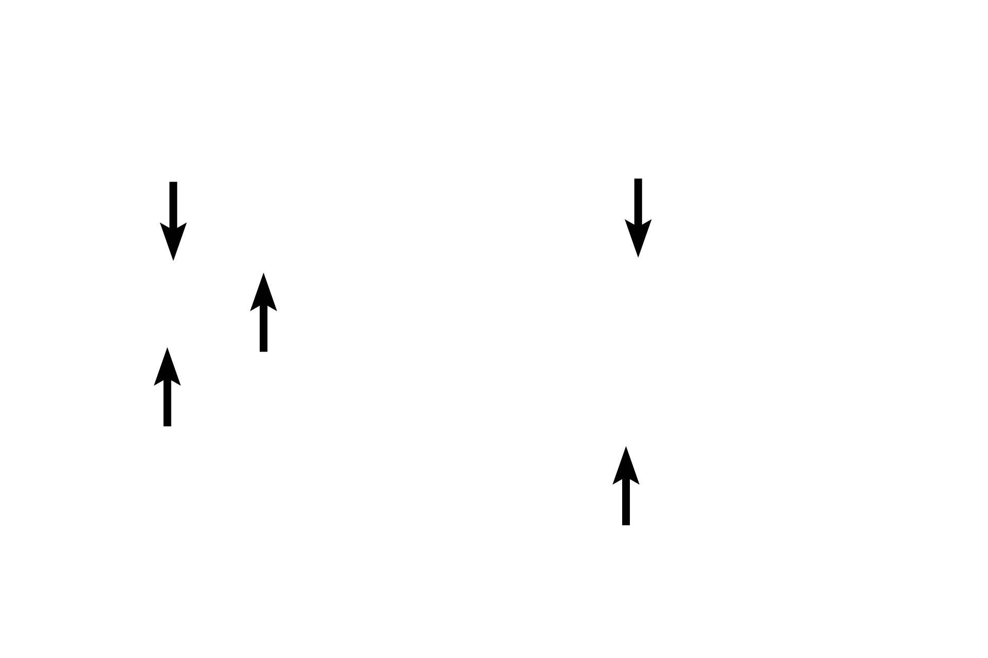 Renal sinus > <p>The renal sinus, at the indented hilum of the kidney, is filled with loose connective tissue and adipose cells.  The excretory passageways are located within the sinus.</p>
