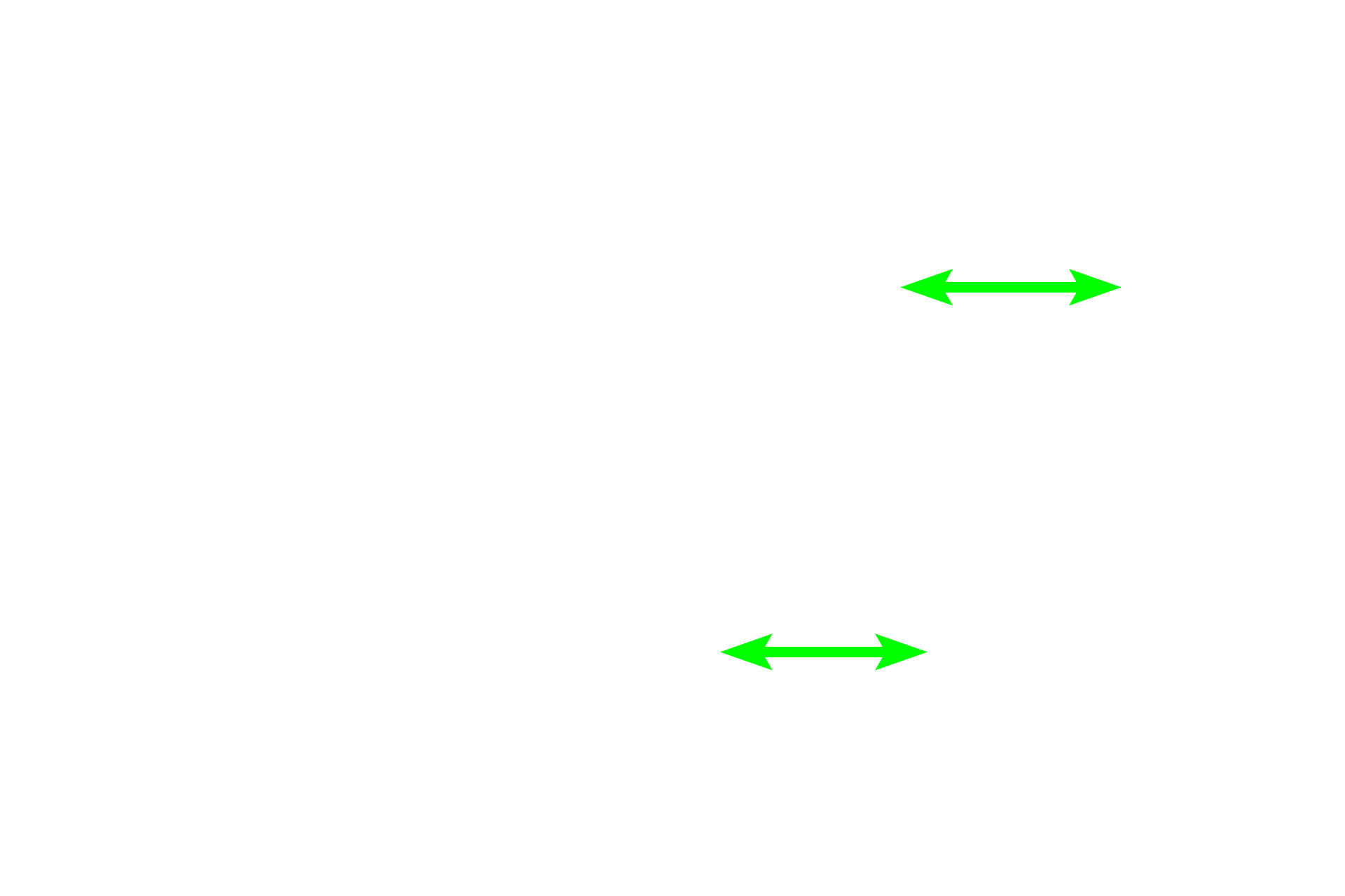 Transitional epithelium <p>The ureter is lined by transitional epithelium overlying a connective tissue layer.  For most of the ureter’s length, the muscularis externa is divided into inner longitudinal and outer circular layers (the reverse of the digestive tract).  However, near the urinary bladder, as seen here, an additional outer longitudinal layer is added.  400x</p>
