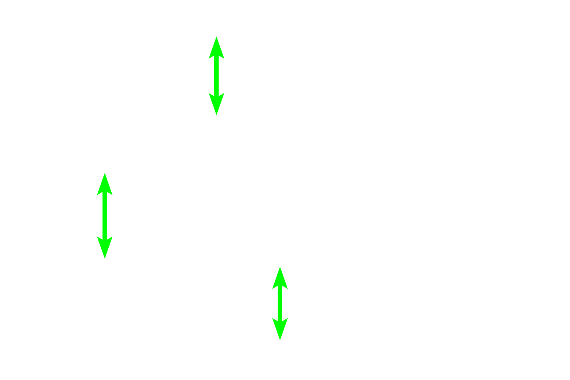 Smooth muscle fascicles <p>Smooth muscle in the muscularis externa of the urinary bladder is arranged in interlacing fascicles, which do not form the distinct layers present in the digestive system.  300x </p>
