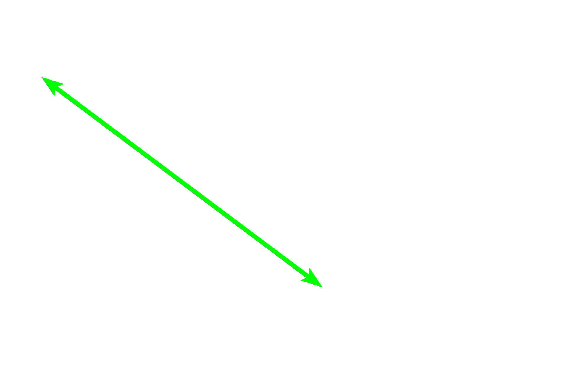 Urethra <p>The female urethra is much shorter than in males (3-5 cm in length), and its mucosa is thrown into longitudinal folds.  The transitional epithelium present as the urethra exits the bladder transitions to stratified squamous, such as seen here.  The lamina propria contains a venous plexus similar to the male corpus spongiosum.  In addition to two layers of smooth muscle (inner longitudinal and outer circular), an outermost layer of circular, skeletal muscle is present at the distal end.  200x, 400x</p>
