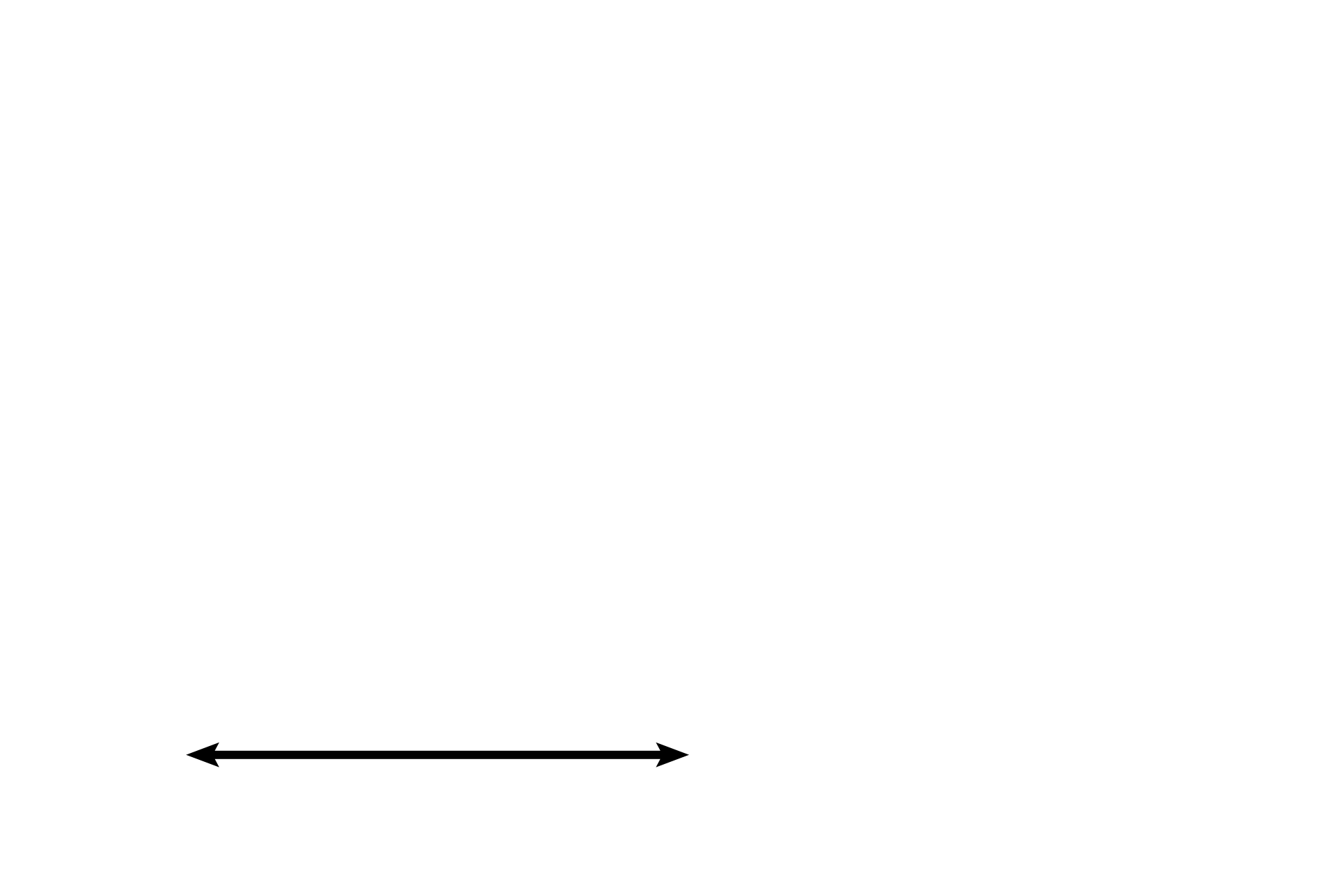 Esophagus <p>The trachea and primary bronchi, extrapulmonary components of the conducting portion of the respiratory system, cannot be distinguished from each other histologically. The trachea, continuing inferiorly from the larynx, lies anterior to the esophagus. The patency of these respiratory organs is maintained by C-shaped cartilage rings, whose openings face the esophagus. The two main lobes of the thyroid gland are located at the lateral boundaries of the trachea. 10x </p>

