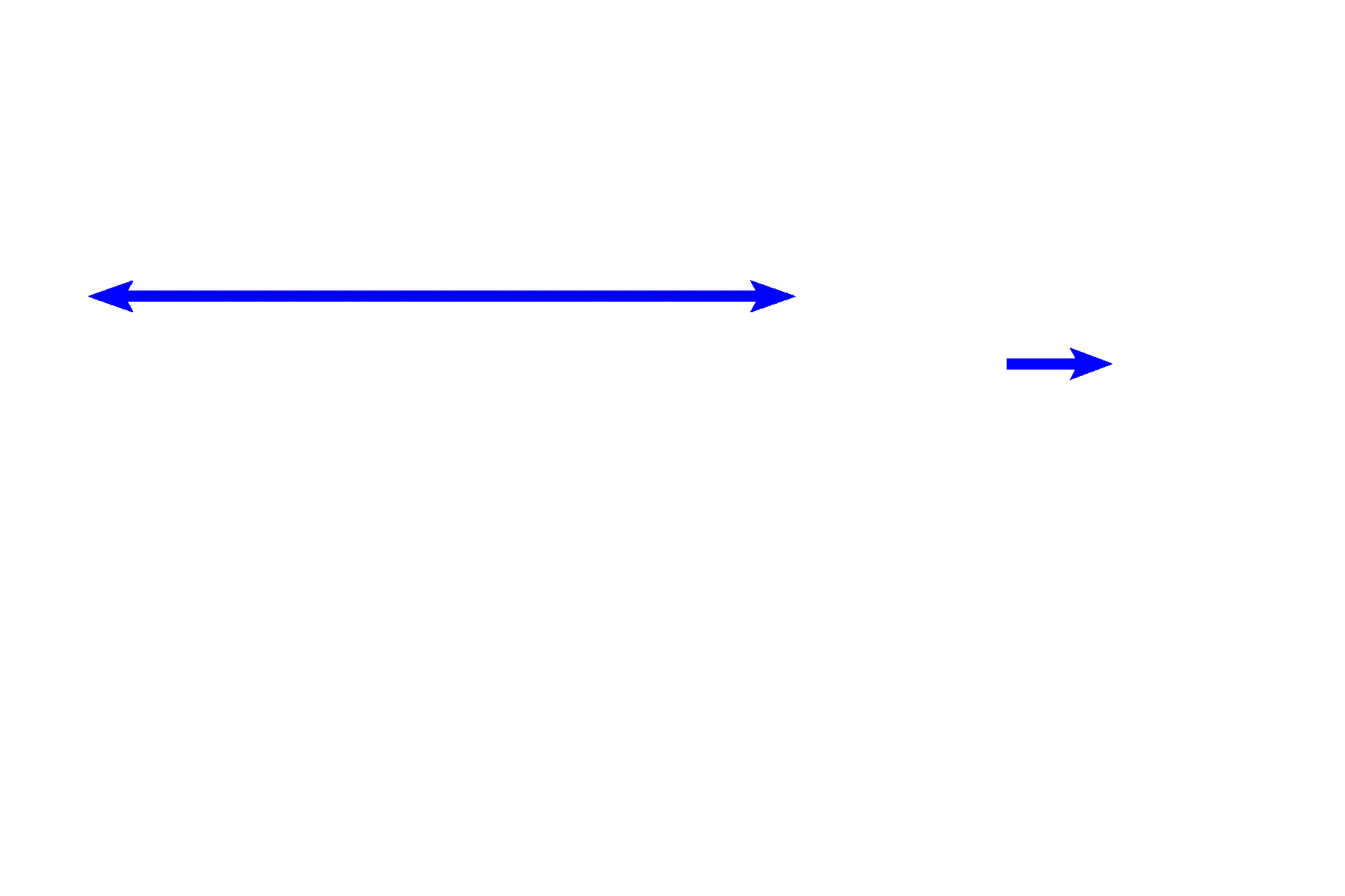 Trachea <p>The trachea and primary bronchi, extrapulmonary components of the conducting portion of the respiratory system, cannot be distinguished from each other histologically. The trachea, continuing inferiorly from the larynx, lies anterior to the esophagus. The patency of these respiratory organs is maintained by C-shaped cartilage rings, whose openings face the esophagus. The two main lobes of the thyroid gland are located at the lateral boundaries of the trachea. 10x </p>
