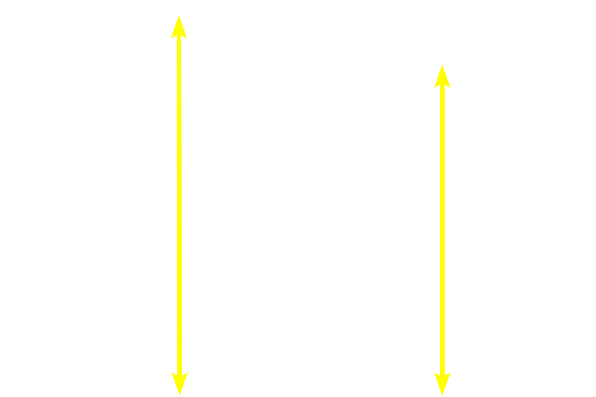 Mucosa <p>Lymphoid nodules also occur in aggregations, such as Peyer’s patches.  Although located throughout the small intestine, Peyer’s patches are regularly found in the ileum.  A single Peyer’s patch contains clusters of secondary nodules surrounded by diffuse lymphoid tissue.  A dome is typically seen on the luminal side of the patch.  40x</p>
