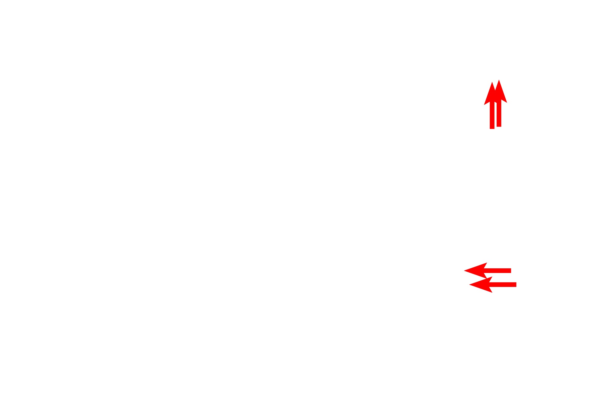 Basal lamina <p>The undulating basal surface of cells forming stratum basale is securely anchored to the basal lamina by numerous hemidesmosomes.  Converging on the hemisdesmosomes are intracellular keratin filaments (tonofilaments), which bundle into larger tonofibrils.  35,000x</p>
