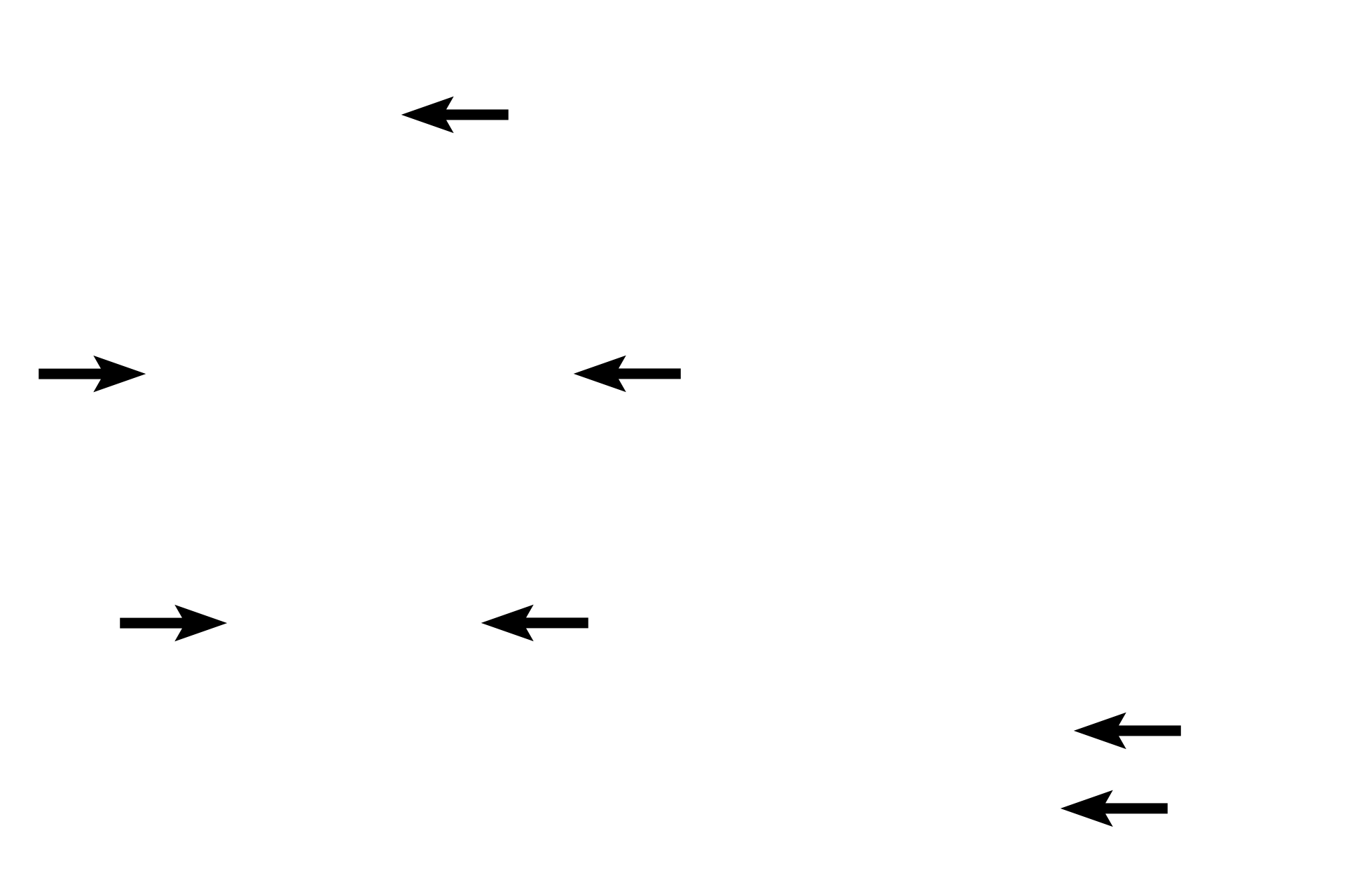 Cartilages > <p>Cartilagenous support for the larynx is provided by three large cartilages and multiple smaller ones (not seen here).  </p>
