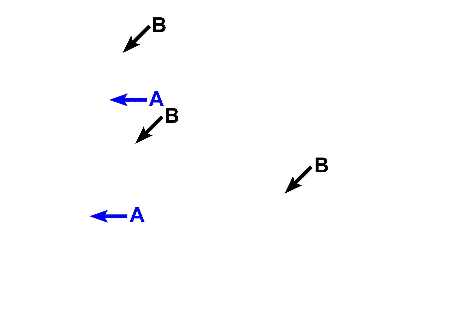 Epithelia > <p>Most of the larynx is lined by respiratory epithelium (A) except for the epiglottis and vocal folds, which are areas subjected to continual stress.  In those areas, the epithelium is stratified squamous moist (B) </p>
