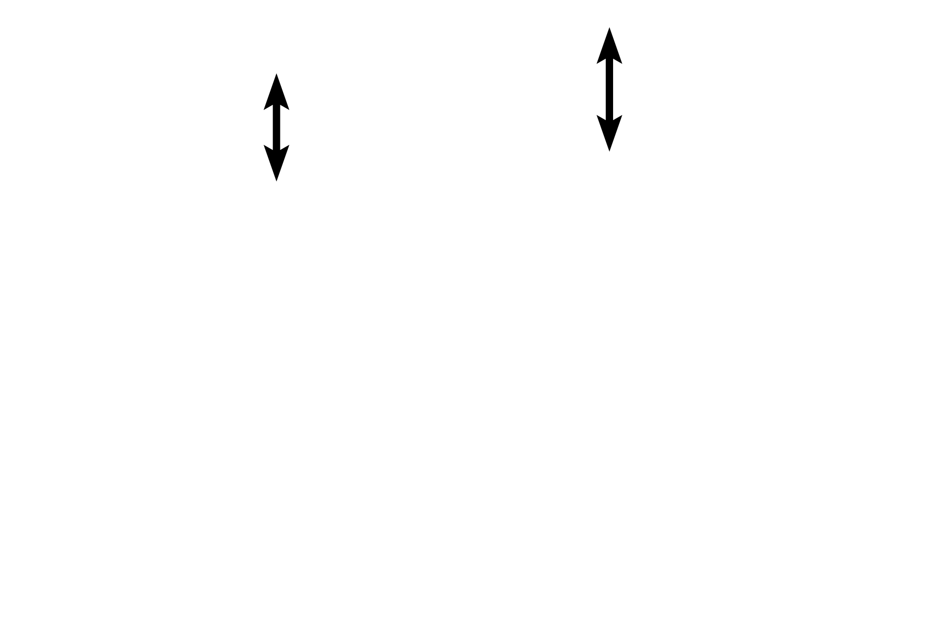 Pseudostratified columnar epthelium > <p>The epithelium lining most of the nasal cavities is a thin, respiratory epithelium:   pseudostratified columnar epithelium with cilia and goblet cells (which are not readily visible here, probably because this is fetal tissue and these cells are not functional yet).  </p>
