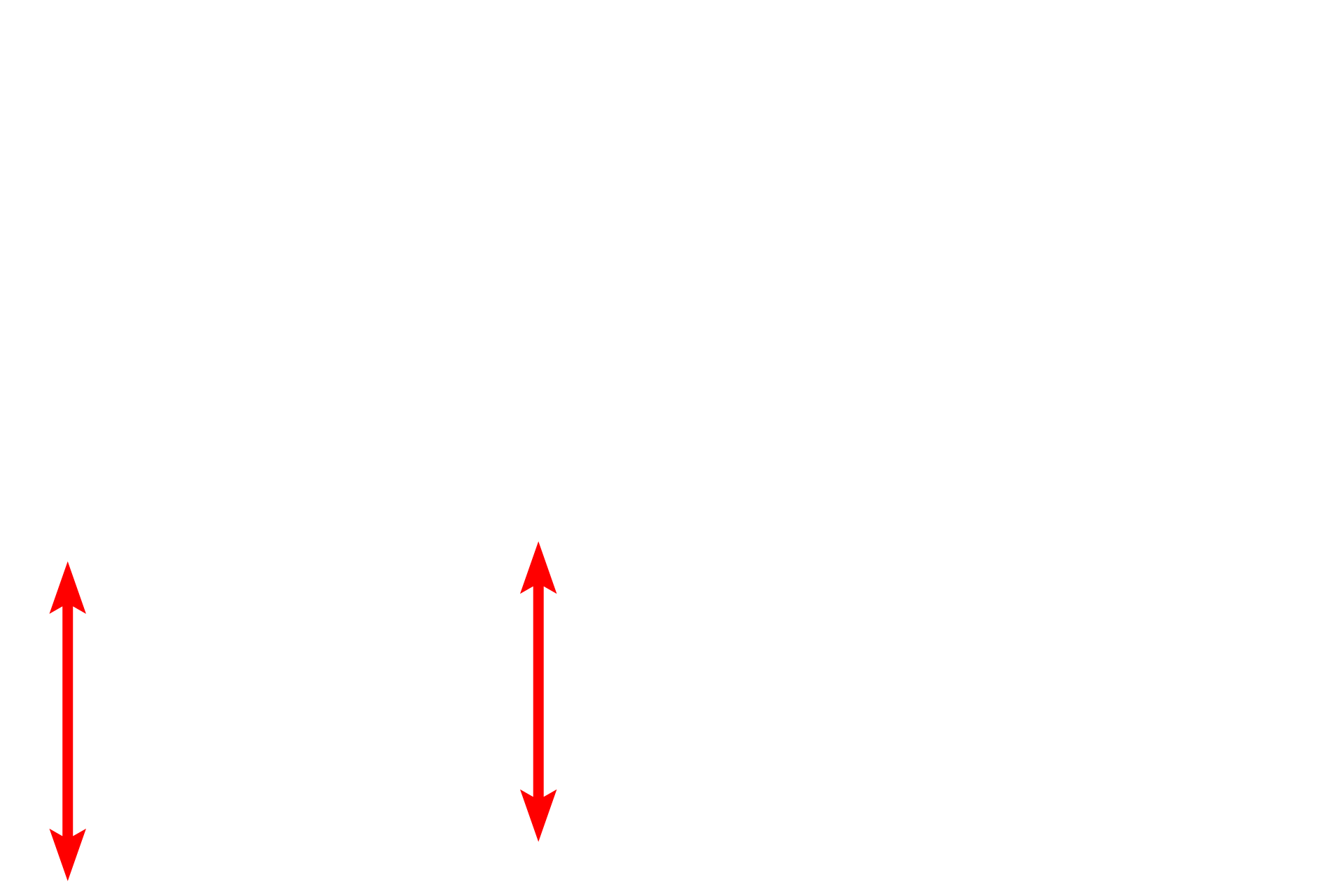  - Nerves <p>The lamina propria of the nasal cavity lacks a smooth muscle layer and an elastic lamina.  Numerous glands (mixed glands, when functional after birth) are present, as are numerous blood vessels to moderate air temperature.  Sensory, peripheral nerves also traverse this layer. </p>
