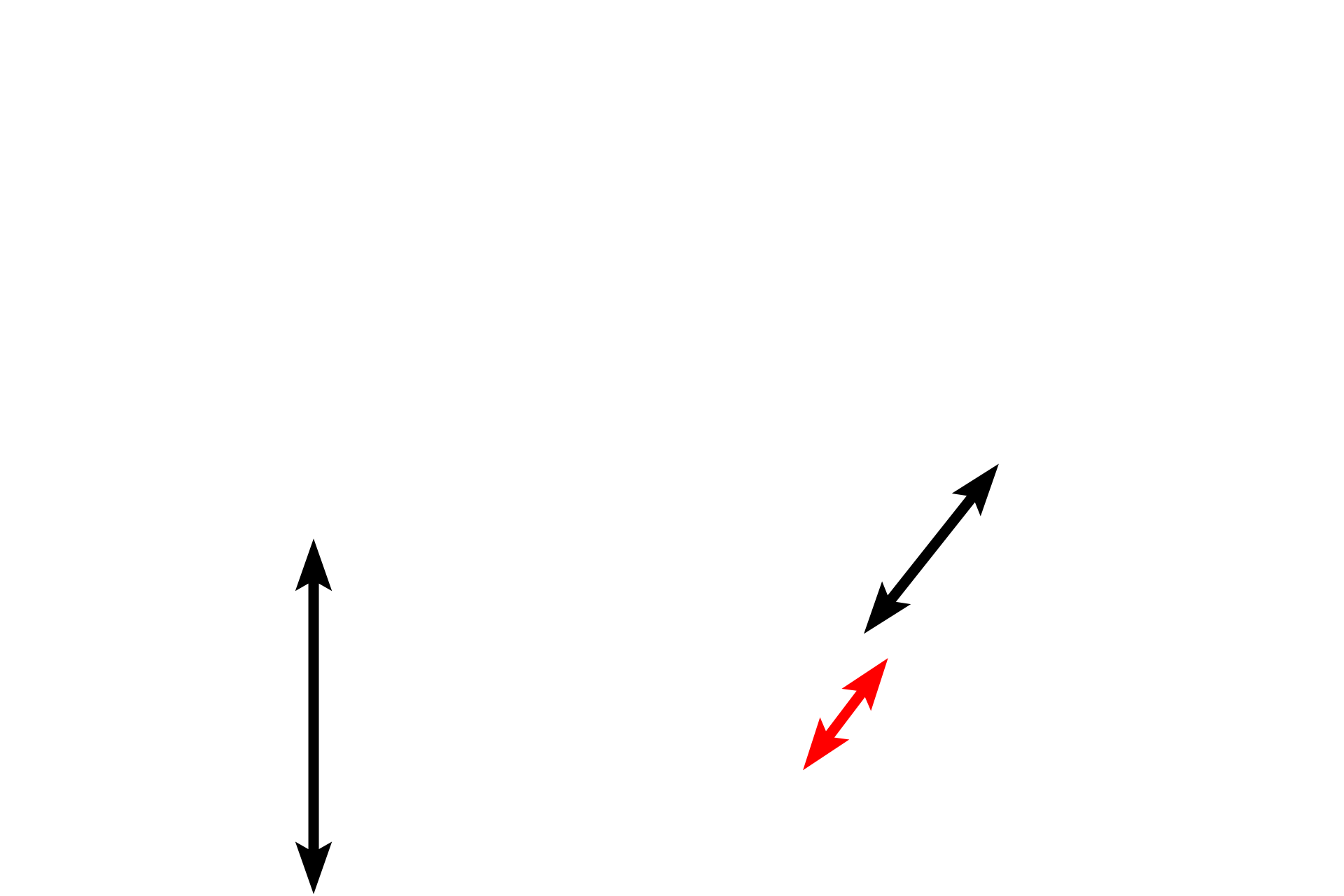 Lamina propria > <p>In addition to the loss of cartilage and mixed glands in bronchioles, the height of the epithelium decreases as bronchioles get smaller in diameter. Although both of the bronchioles here are lined by pseudostratified columnar epithelium, the height of this epithelium is lower than that seen in the larger bronchioles of the previous images. The red arrow indicates the lamina propria of a smaller bronchiole.  1000x, 400x</p>
