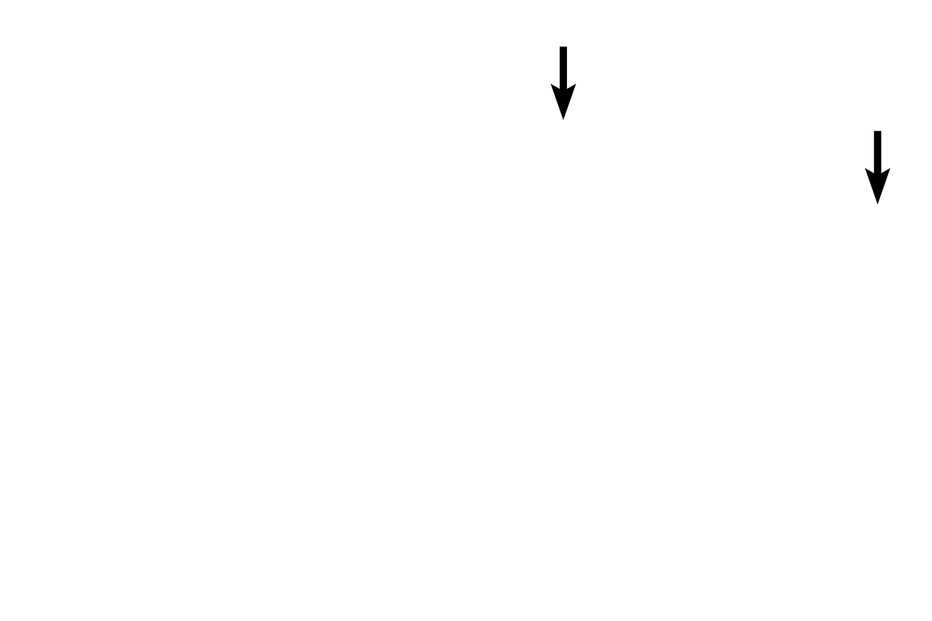 Club cells > <p>Club cells appear in the terminal bronchiole and continue in respiratory bronchioles. They secrete most of the airway secretions, stabilize surfactant, degrade inhaled toxins and are the progenitor cells for themselves and ciliated cells.</p>
