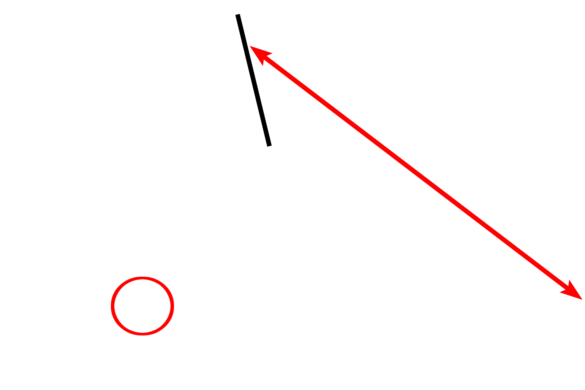 Body <p>A longitudinal section of the epididymis reveals its crescent shape as it conforms to the posterior and superior surfaces of the testis. The epididymis is divided into a head region (containing the efferent ducts and the duct of the epididymis) and a body and a tail (both of which contain the continuation of the single, highly coiled duct of the epididymis).  The section shown here consists only of the head and body of the epididymis. The epididymis is the site of sperm storage, maturation and propulsion into the ductus deferens.  10x</p>

