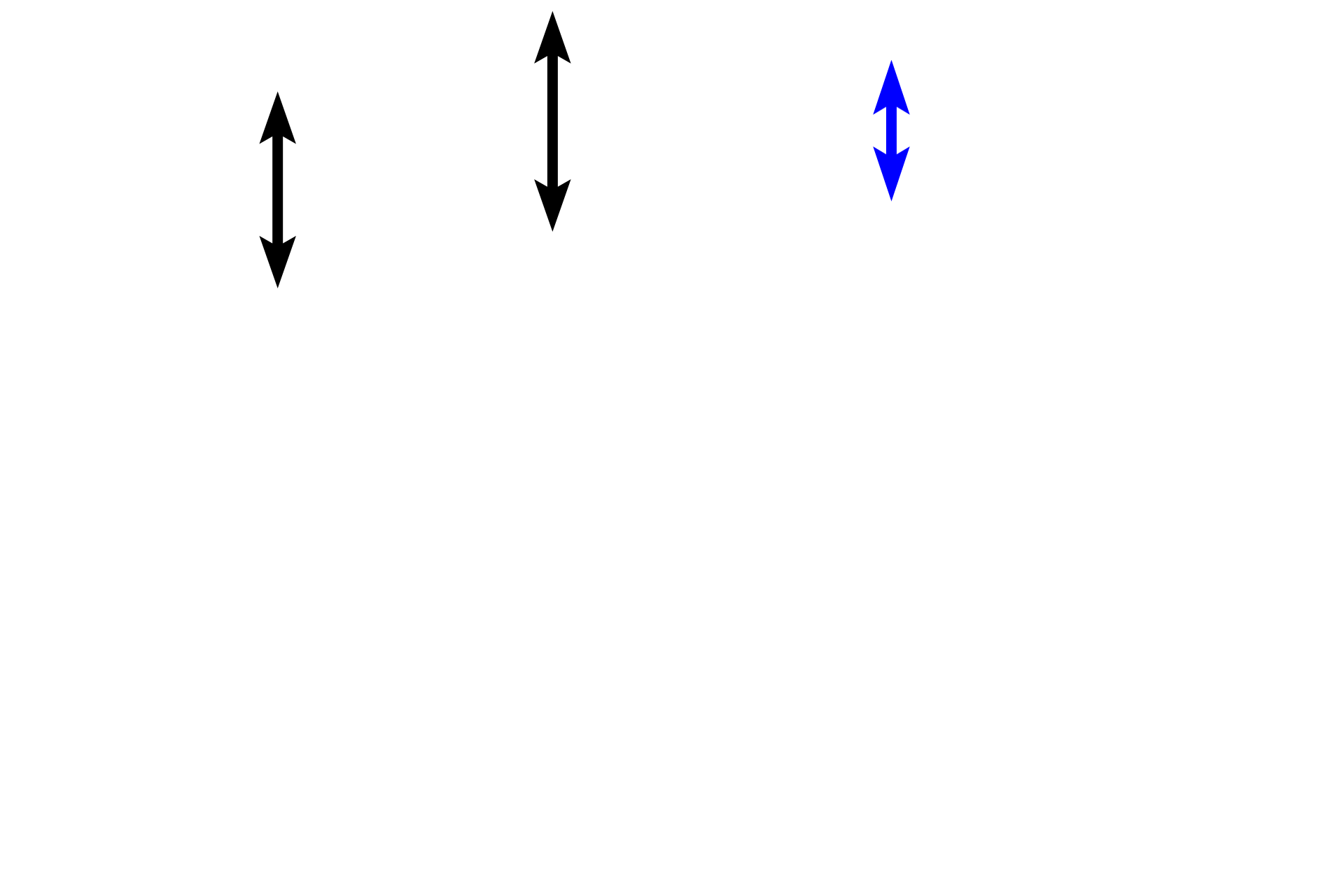Epithelium > <p>The epithelium lining most respiratory passageways is pseudostratified columnar with cilia and goblet cells, commonly referred to as respiratory epithelium.  A prominent basement membrane is a common feature in many respiratory passageways. </p>
