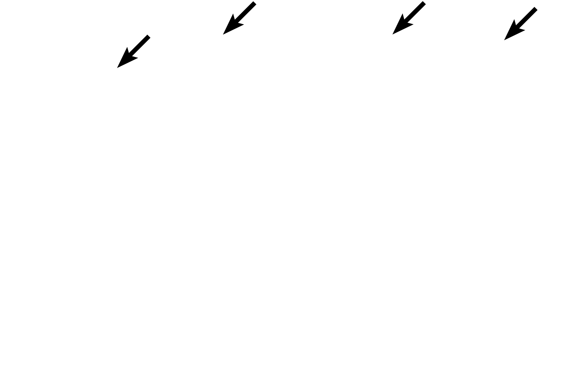  - Goblet cells <p>The epithelium lining most respiratory passageways is pseudostratified columnar with cilia and goblet cells, commonly referred to as respiratory epithelium.  A prominent basement membrane is a common feature in many respiratory passageways. </p>

