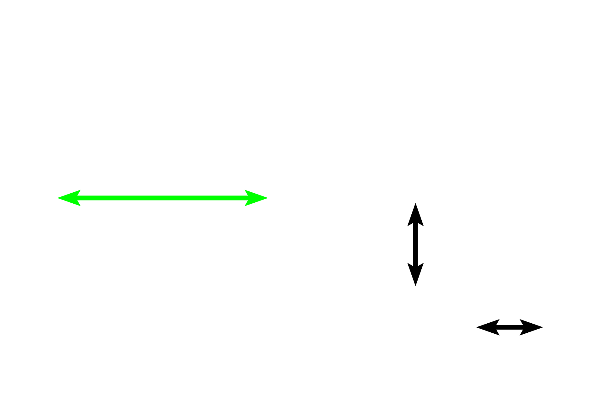 Interalveolar septa > <p>The walls of adjacent alveoli abut to form interalveolar septa.  Each septum is lined by a simple squamous epithelium; connective tissue cells and fibers form the core of each septum.  Numerous capillaries bulge from the septa into the lumen of each alveolus.</p>
