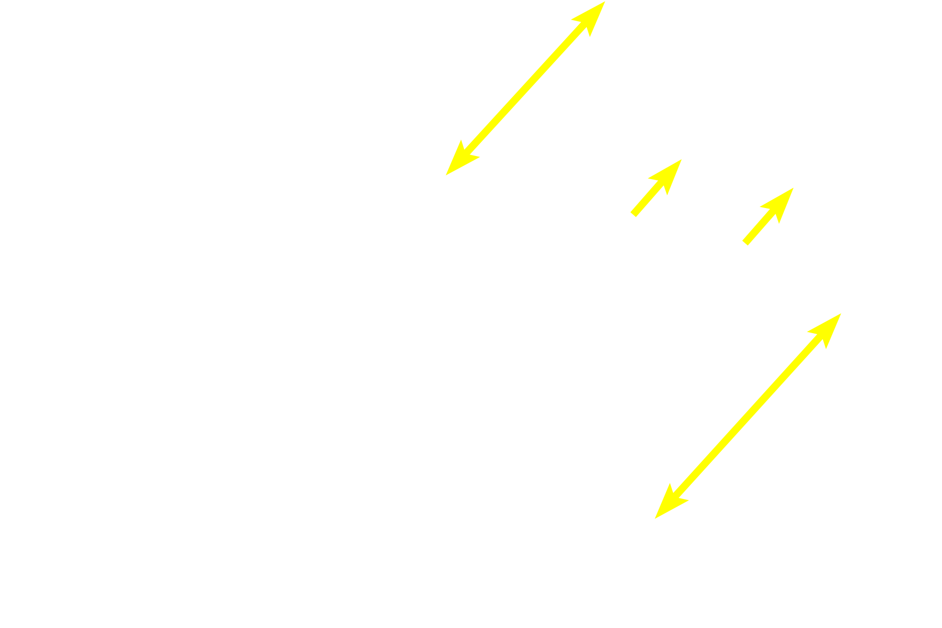 Pars intermedia <p>The pars intermedia of the adenohypophysis lies adjacent to the pars nervosa and to the colloid-filled, cystic remnants of Rathke’s pouch.  Cells of this subdivision also migrate into the pars nervosa.  The pars intermedia, which is rudimentary in humans, is composed exclusively of basophils.  200x</p>
