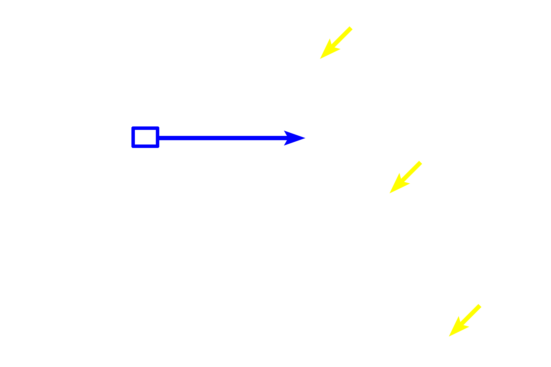  - Lamina propria <p>The mucosa of the calyx consists of a transitional epithelium with its underlying, thin lamina propria and two layers of smooth muscle oriented perpendicularly to each other.</p>
