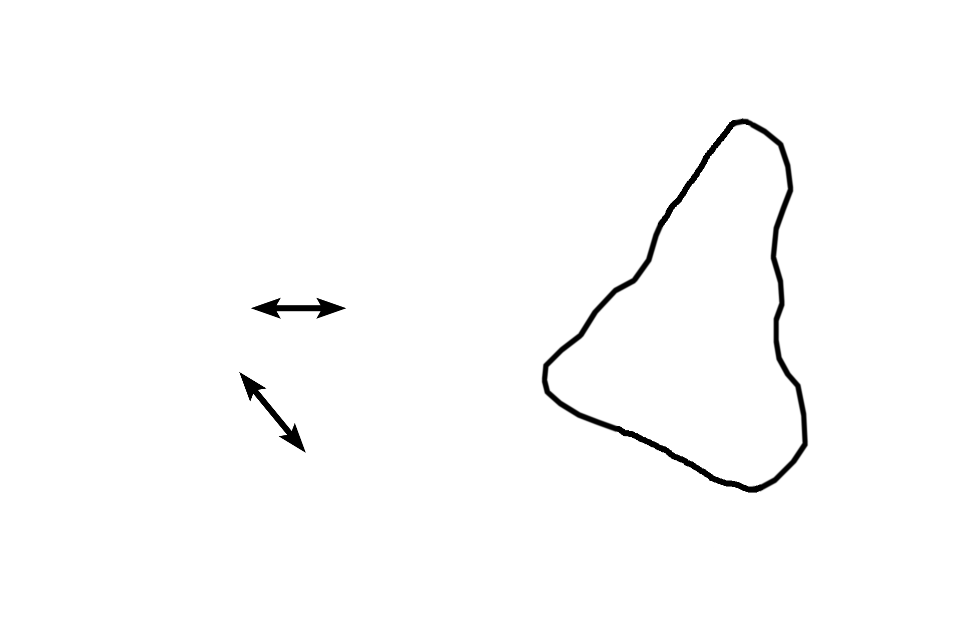  - Renal pyramid <p>The medulla forms the inner portion of the kidney.  It is composed of renal pyramids, whose bases abut the cortex, and renal columns, i.e., cortical tissue interposed between the pyramids.</p>
