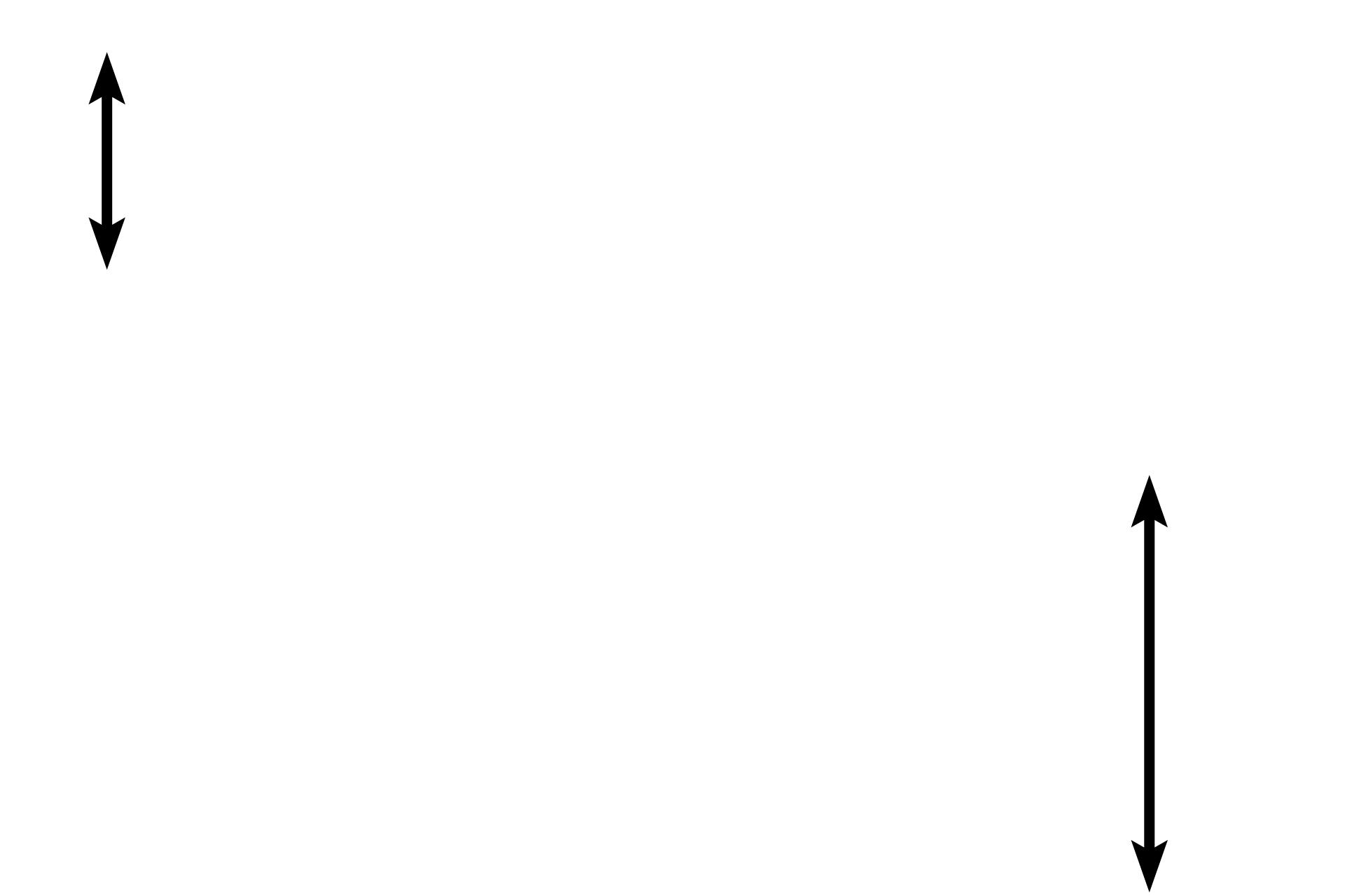 Blood vessels <p>This spicule of bone is being resorbed by multiple osteoclasts, large, motile cells with multiple nuclei.  Throughout life, bone is resorbed and deposited to both renew and repair the matrix and to respond to mechanical stresses. Resorption results in the formation of depressions in the bone called Howship’s lacunae. Osteoclasts belong to the monocyte lineage and are not related to osteoblasts or osteocytes.  Spongy bone, 600x</p>
