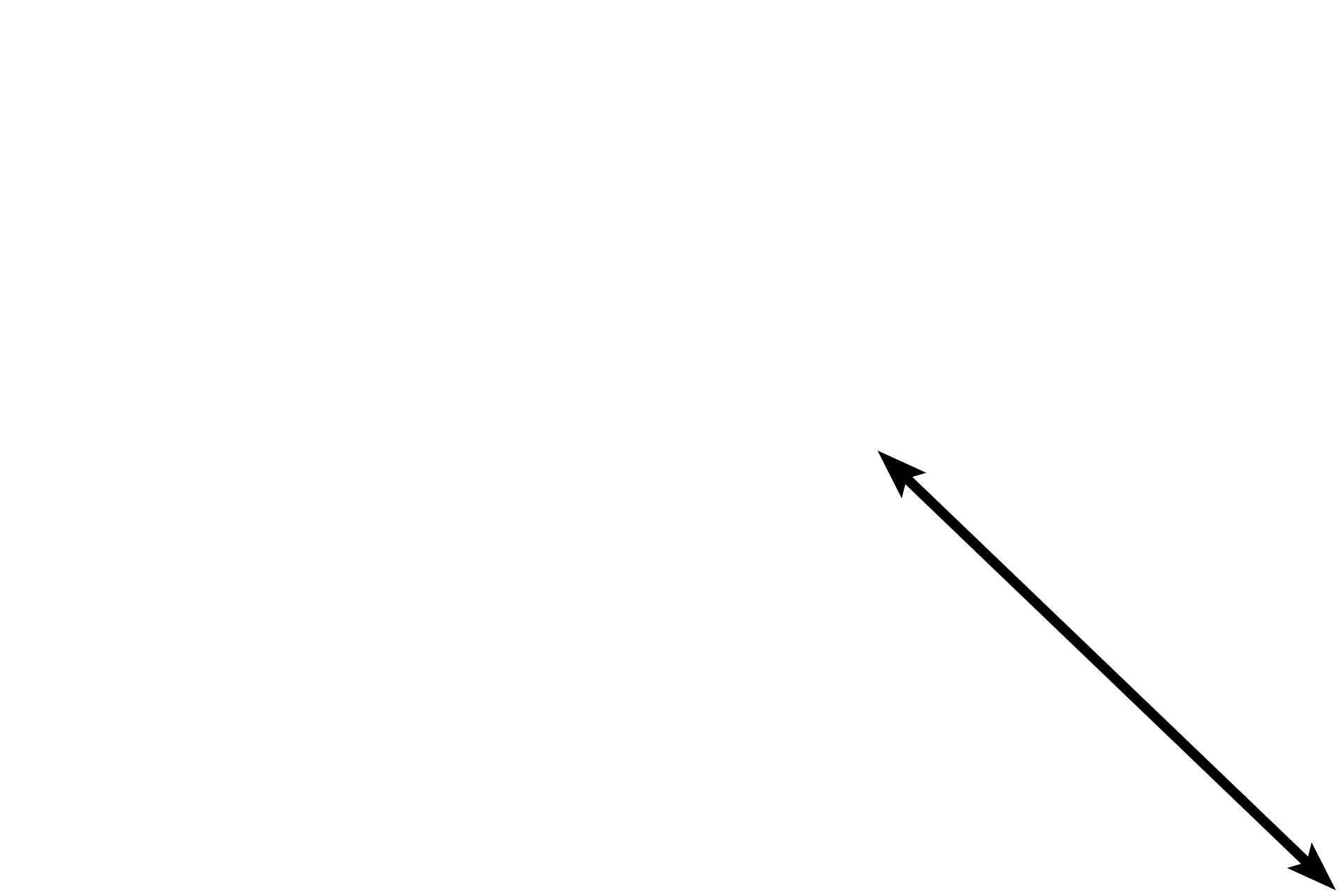 Perichondrium > <p>The perichondrium surrounds cartilage and consists of two layers, an outer fibrous layer and an inner chondrogenic layer.</p>
