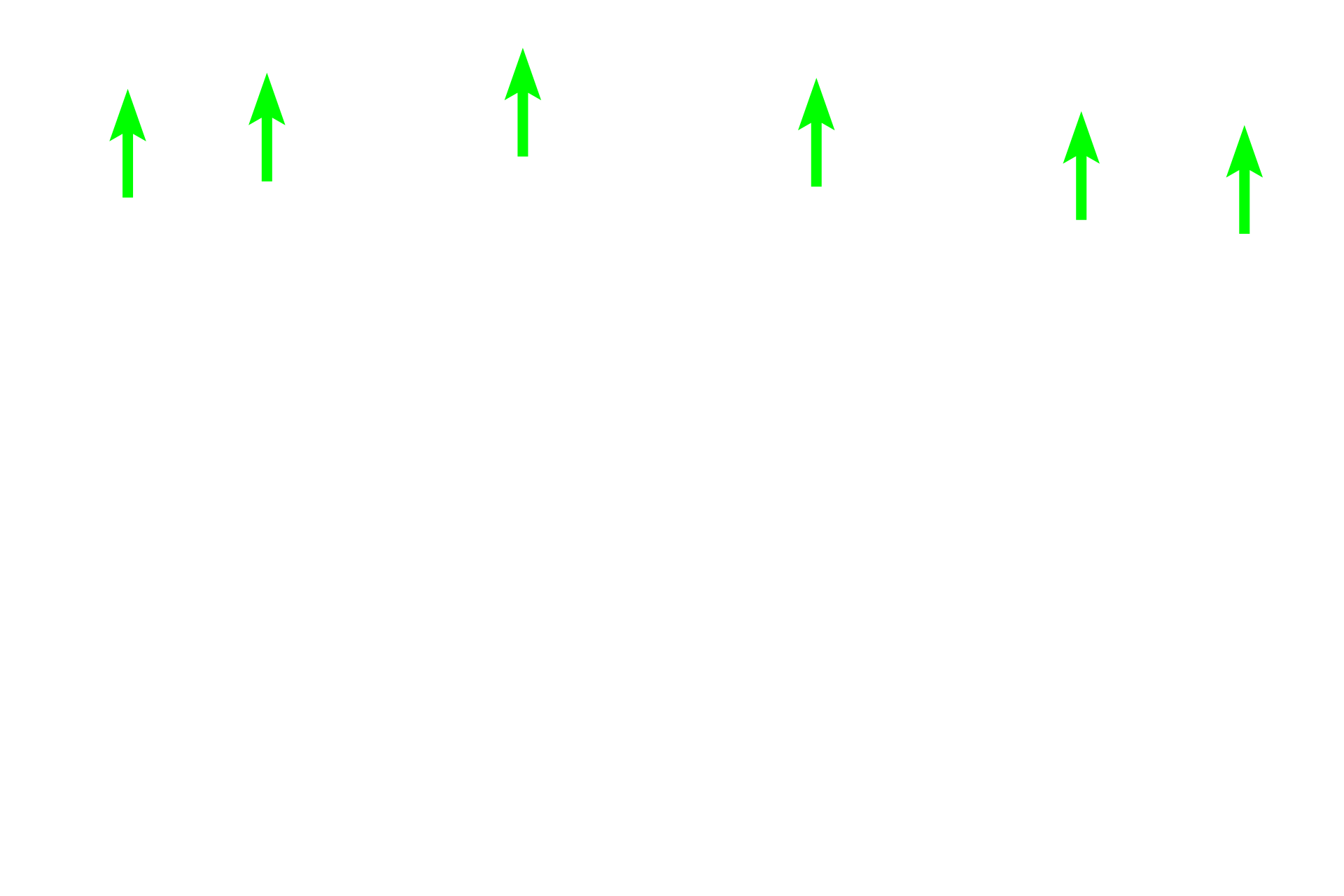 Chondroblasts <p>These images compare the appearance of elastic cartilage stained with hematoxylin and eosin (left) and hematoxylin and eosin plus orcein for elastic fibers on the right. 400x</p>
