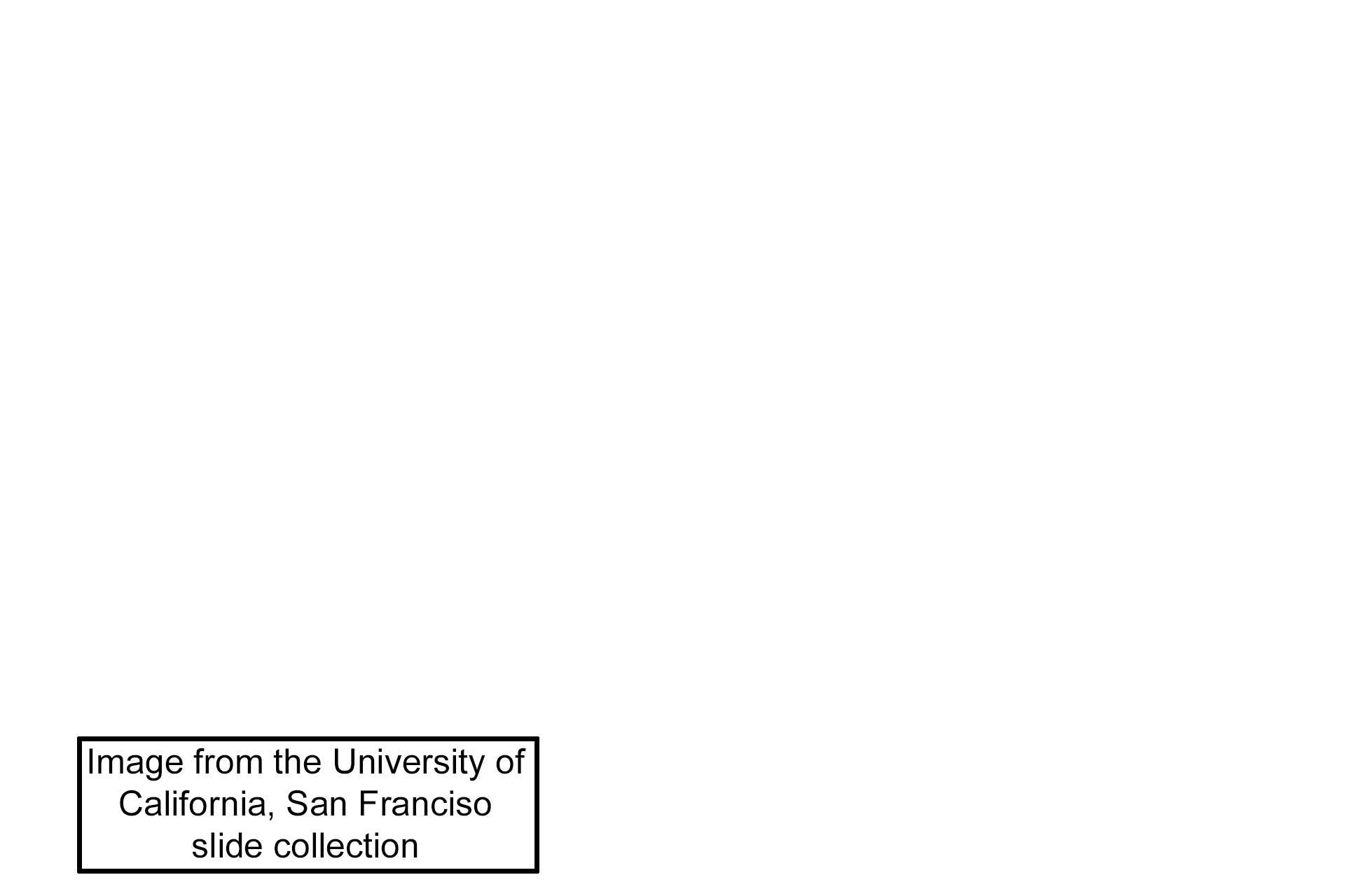 Image source > <p>This image was taken of a slide in the University of San Francisco slide collection.</p>
