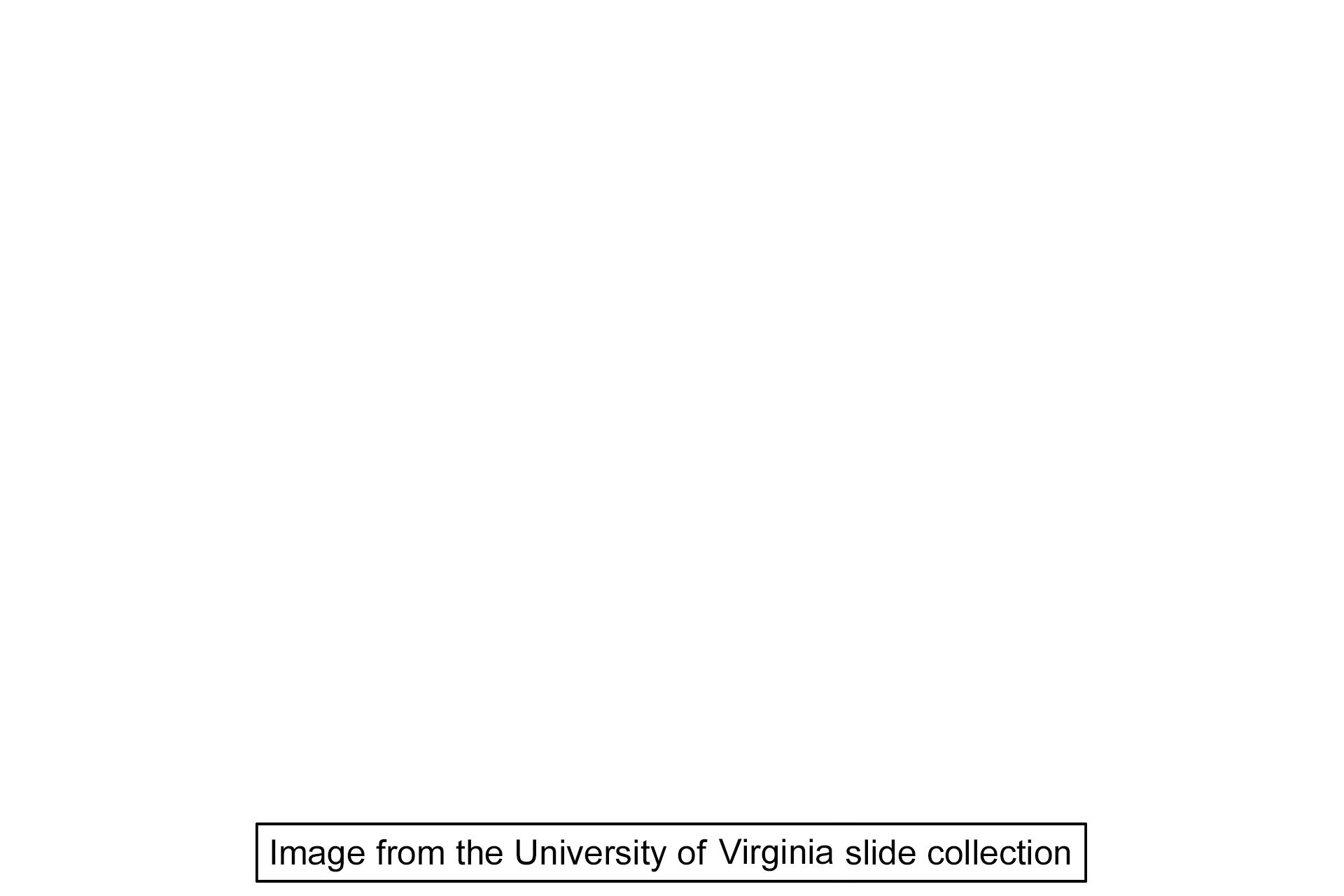 Image source > <p>Image taken from a slide in the University of Virginia collection.</p>
