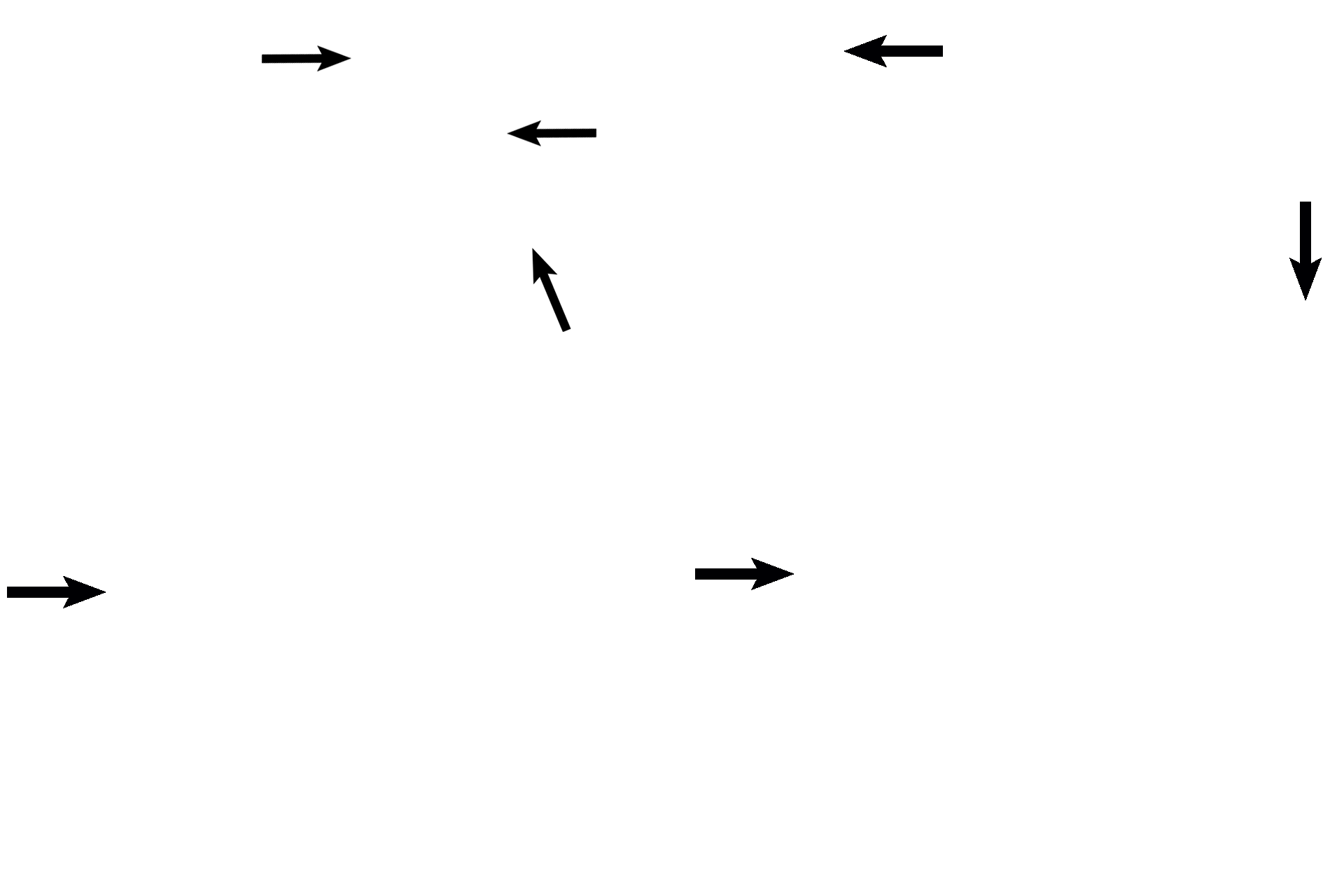  - Semicircular ducts > <p>A semicircular duct, part of the membranous labyrinth, is suspended in each semicircular canal. Each duct possesses a crista ampullaris (only one is visible), the receptor that responds to angular acceleration.</p>
