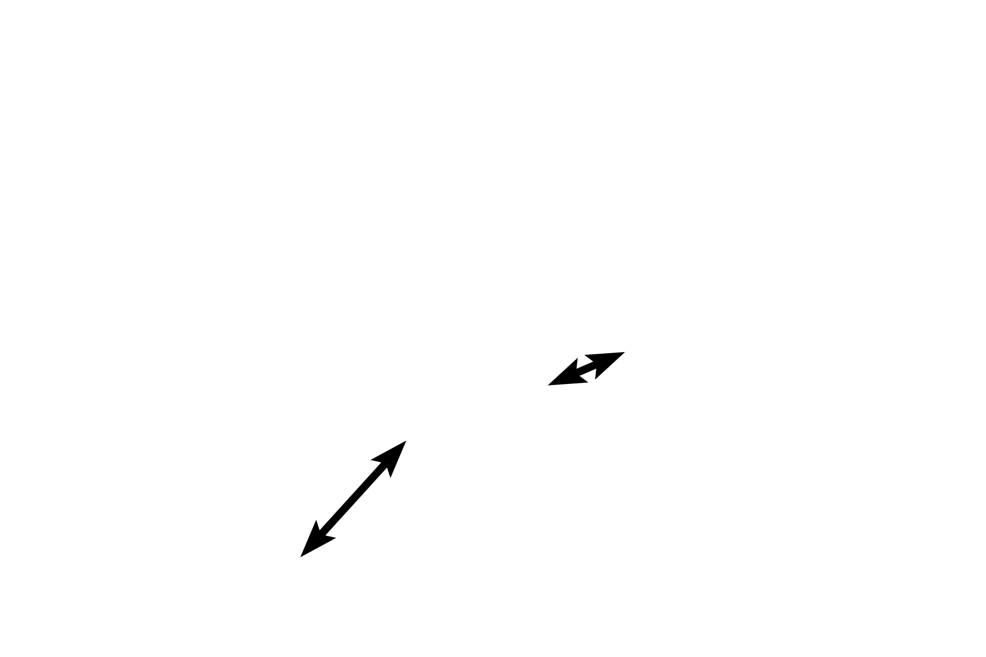 Mucosa > <p>The mucosa has highly branched folds in the infundibulum and ampulla, dividing the lumen into channels.  These folds diminish in the isthmus and intramural portions.  Ciliated cells are most numerous in the infundibulum, whereas secretory cells predominate nearer the uterus.  A muscularis mucosa is lacking, so the lamina propria and submucosa form a continuous connective tissue layer. </p>

