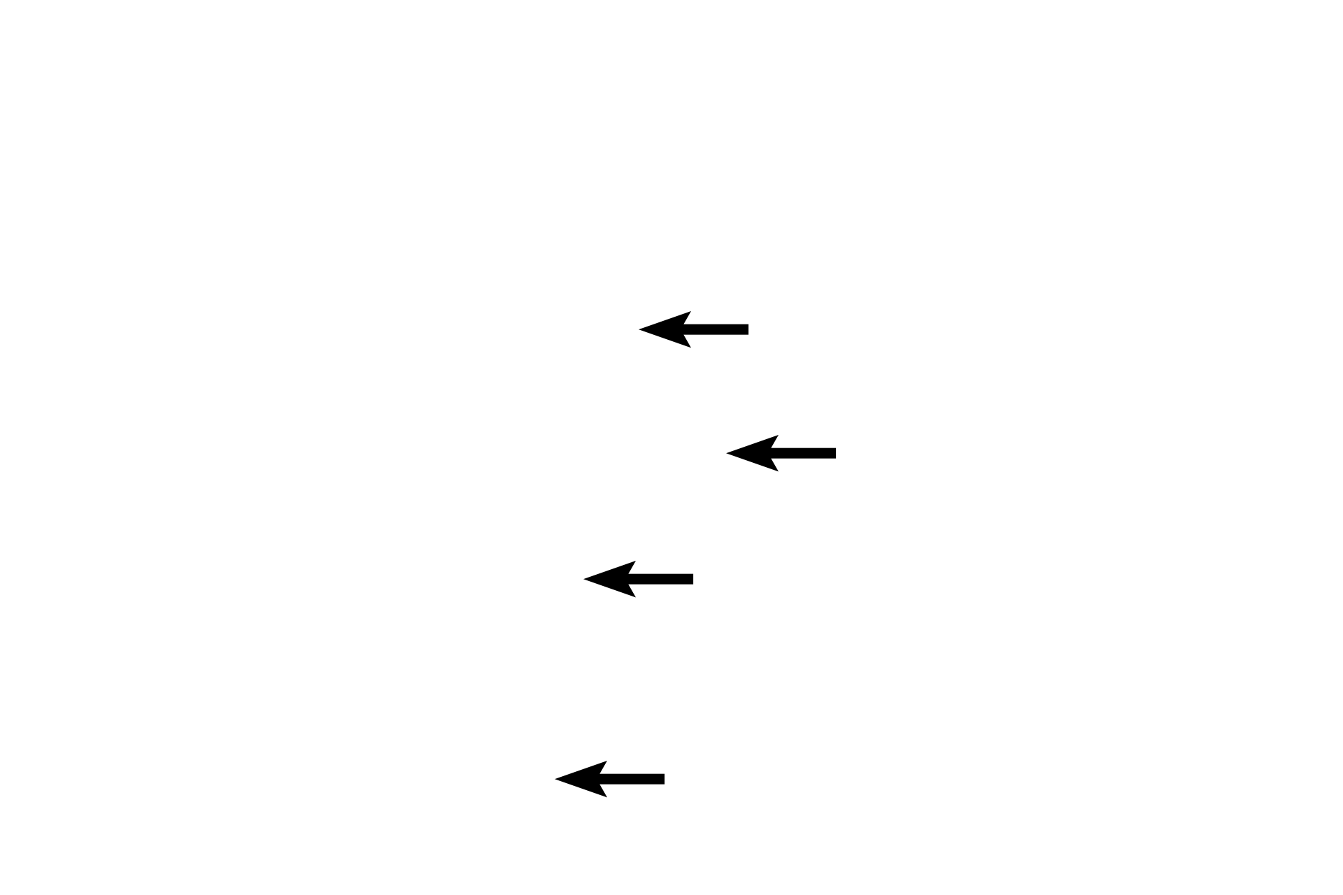 Lumen <p>The mucosa has highly branched folds in the infundibulum and ampulla, dividing the lumen into channels.  These folds diminish in the isthmus and intramural portions.  Ciliated cells are most numerous in the infundibulum, whereas secretory cells predominate nearer the uterus.  A muscularis mucosa is lacking, so the lamina propria and submucosa form a continuous connective tissue layer. </p>
