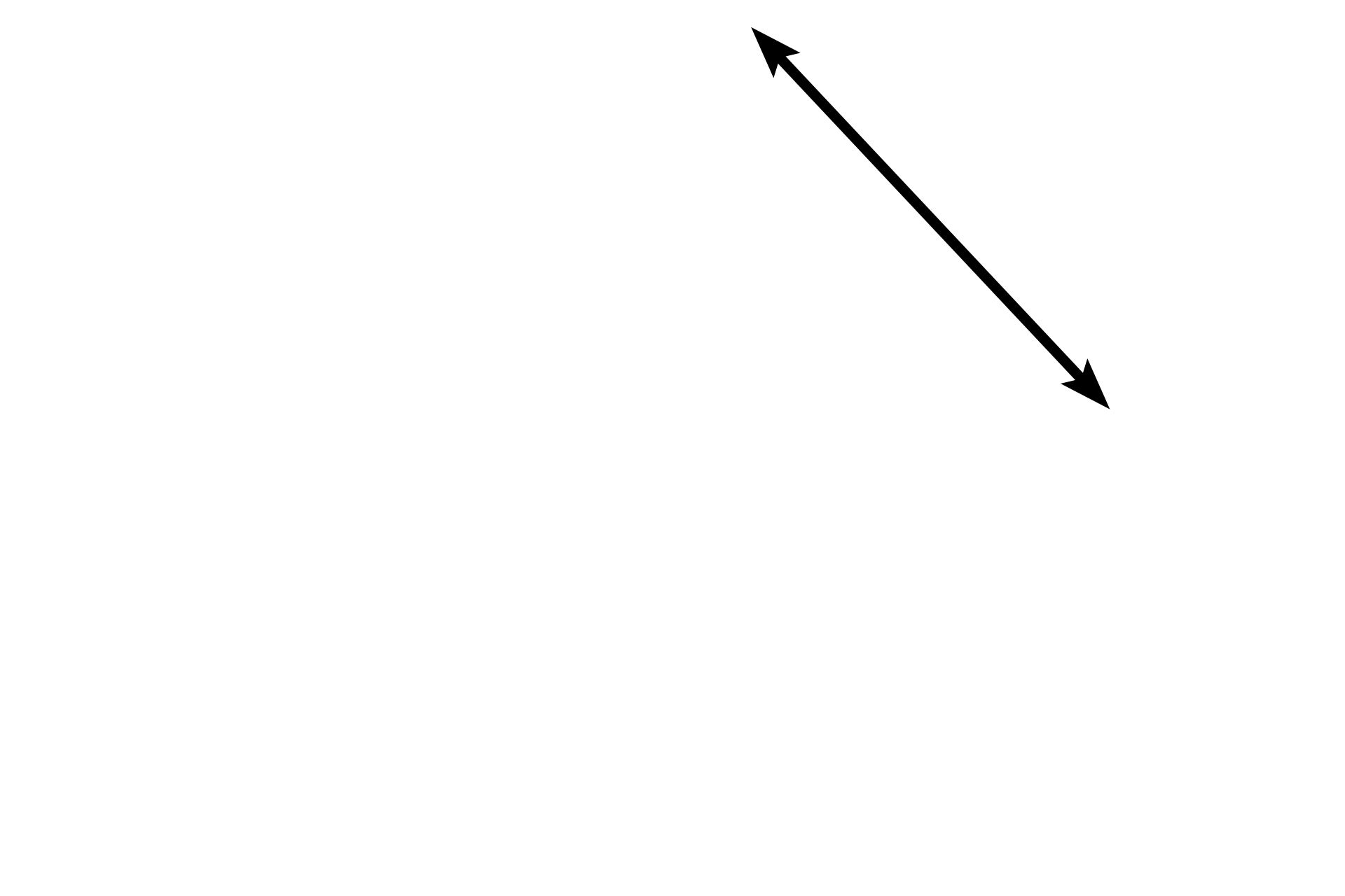 Mesosalpinx > <p>The oviduct is supported by the mesosalpinx, a portion of the broad ligament which is double-layered fold of peritoneum that also supports the uterus and ovary.  It conveys blood vessels to these structures. </p>
