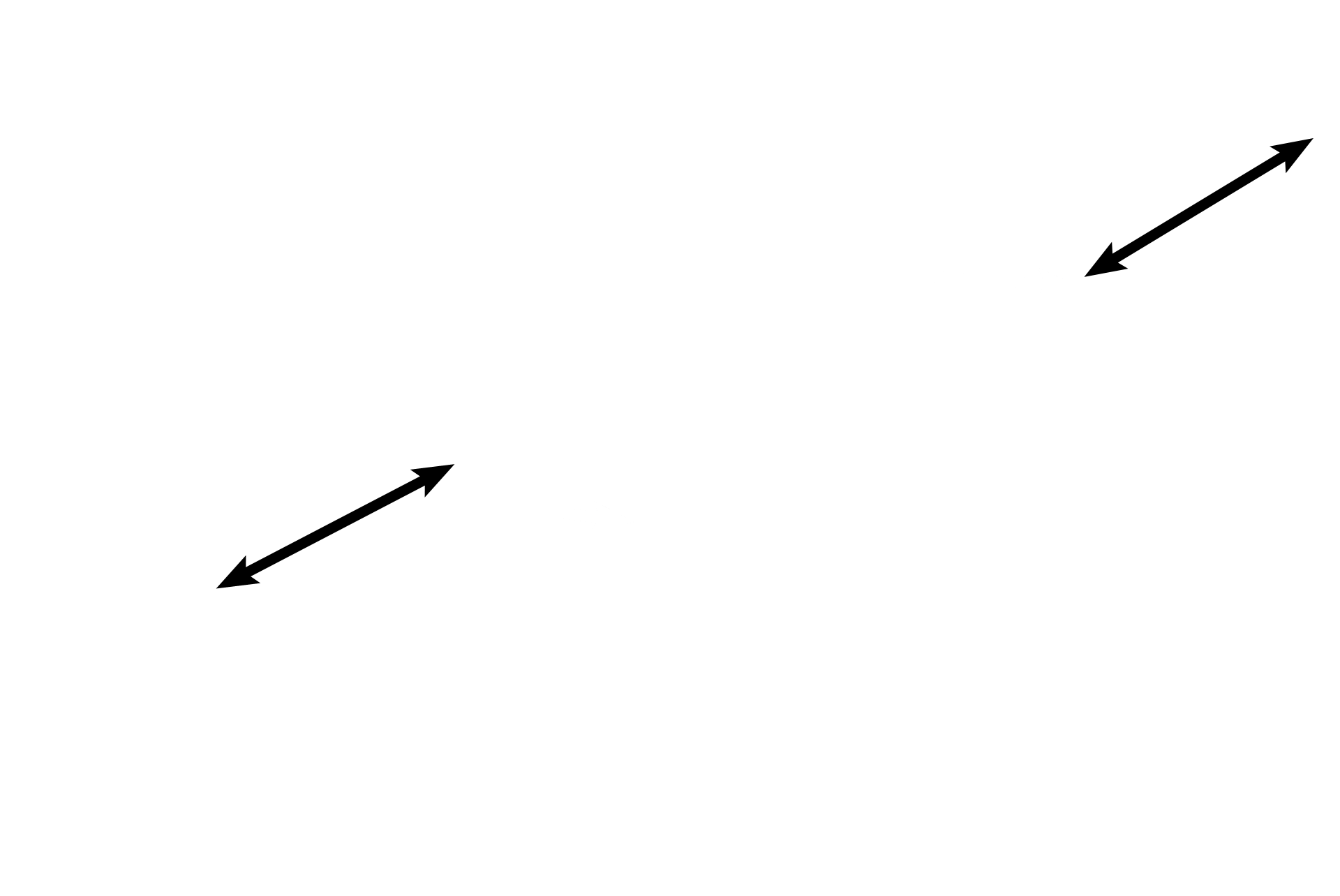 Simple columnar epithelium <p>The oviductal mucosa is lined by simple columnar epithelium with cilia and unicellular glands.  Ciliated cells and their basal bodies are well demonstrated.  Secretory cells (peg cells) lack cilia; their nutritive secretory product frequently protrudes into the lumen prior to release.  Lamina propria is the connective tissue layer of the mucosa, underlying the epithelium.  1000x </p>
